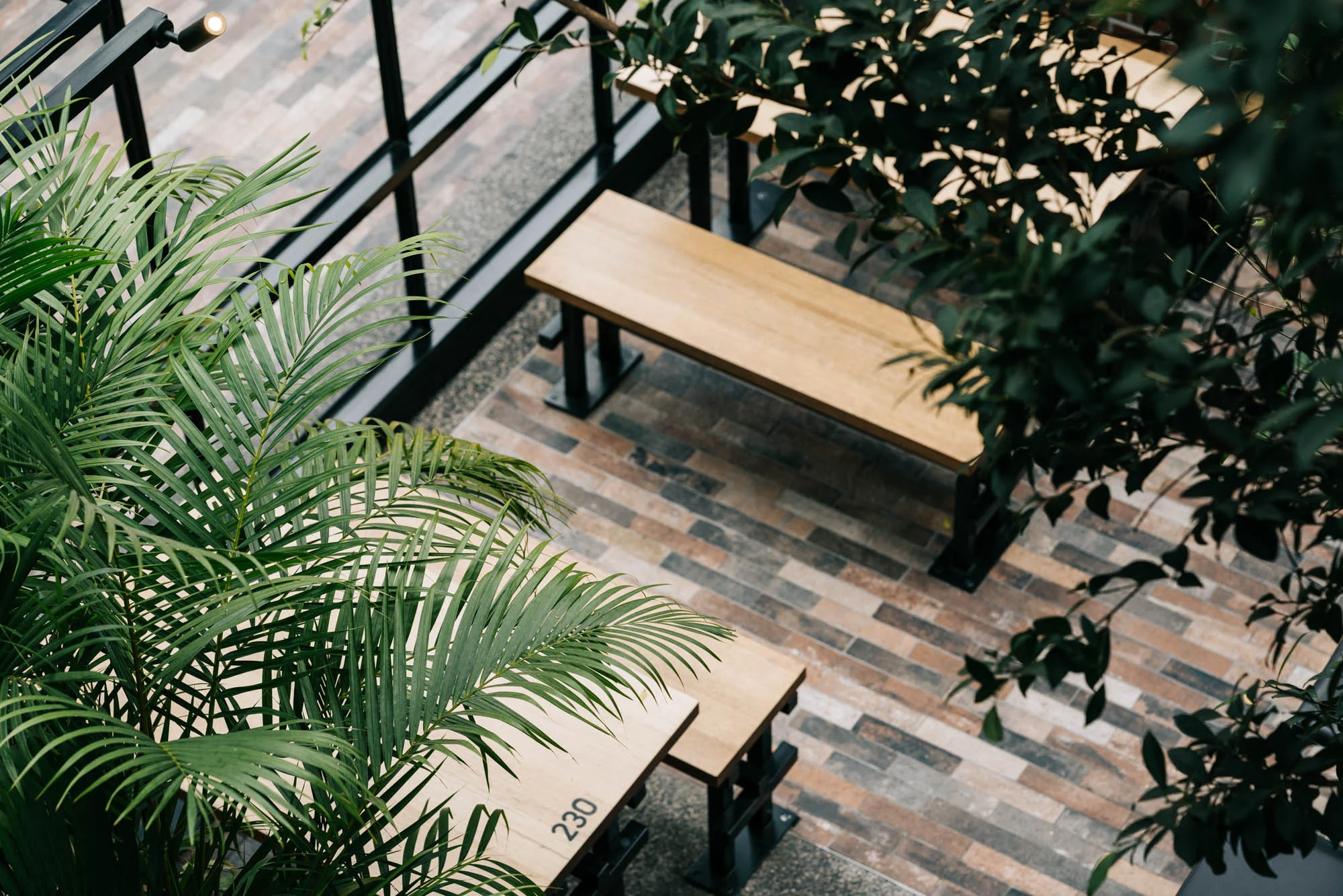 Ayus Botanical_low res-91.jpg