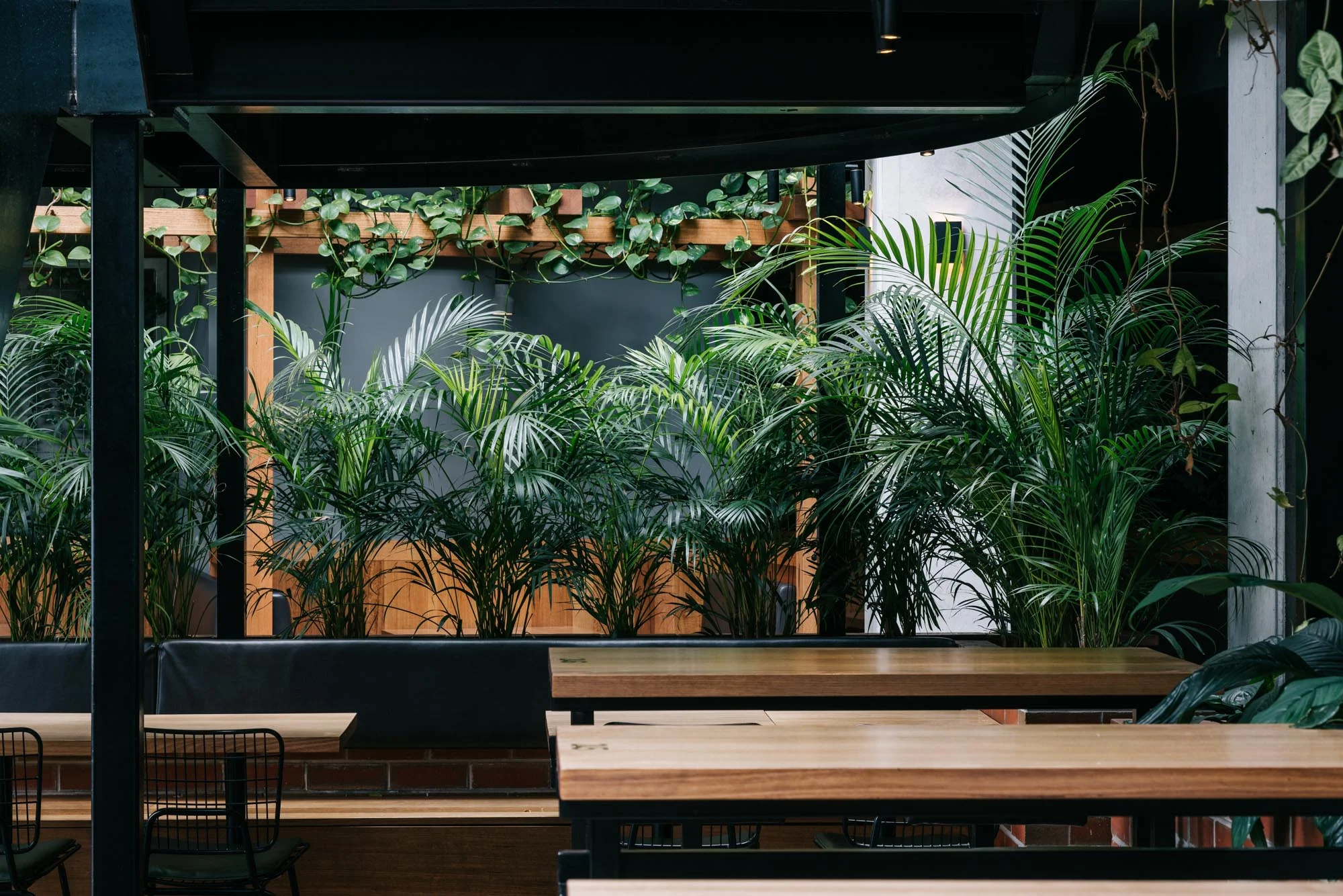 Ayus Botanical_low res-69.jpg