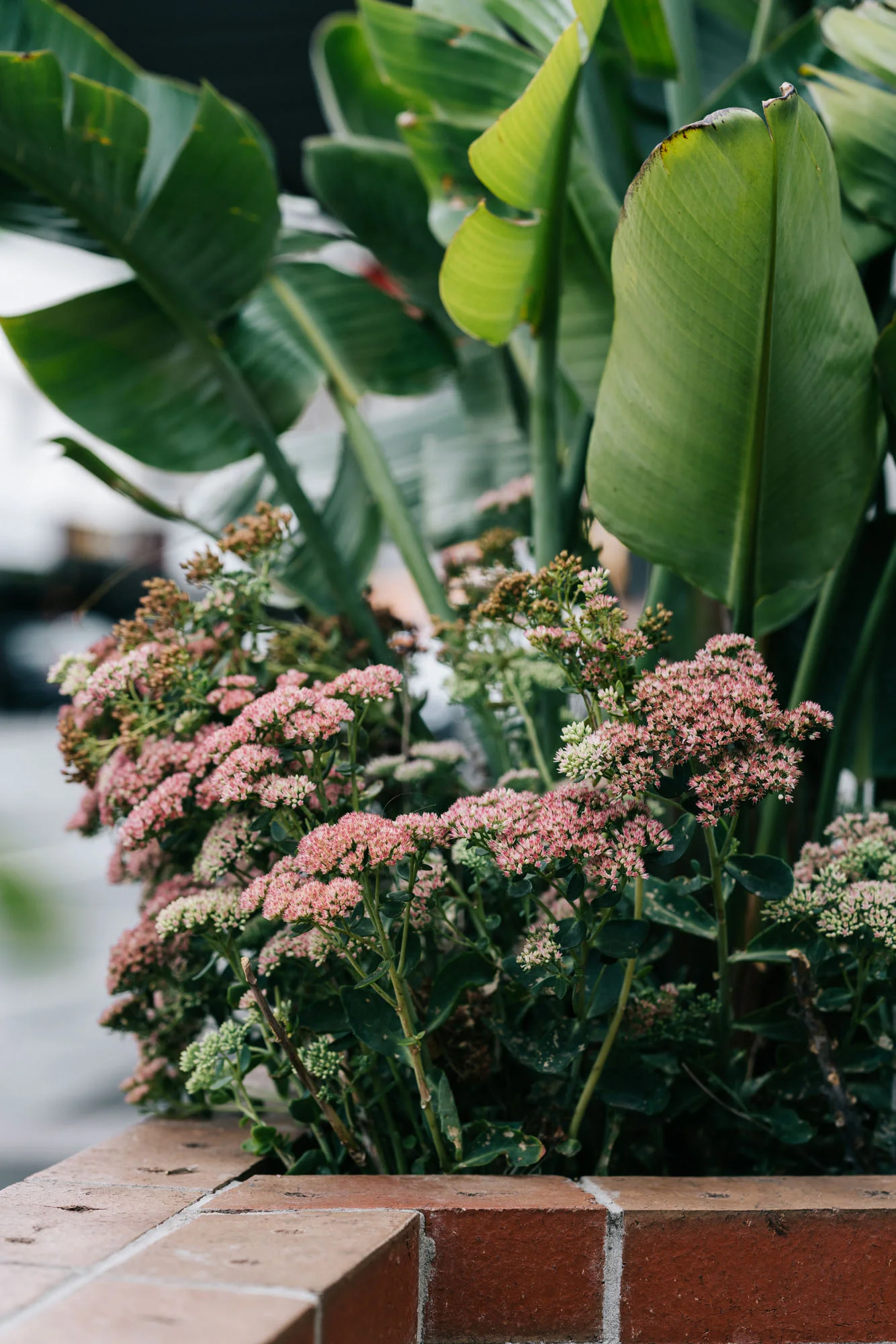 Ayus Botanical_low res-77.jpg