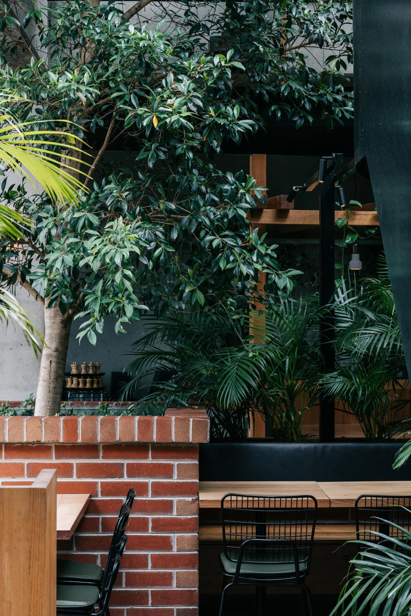 Ayus Botanical_low res-66.jpg