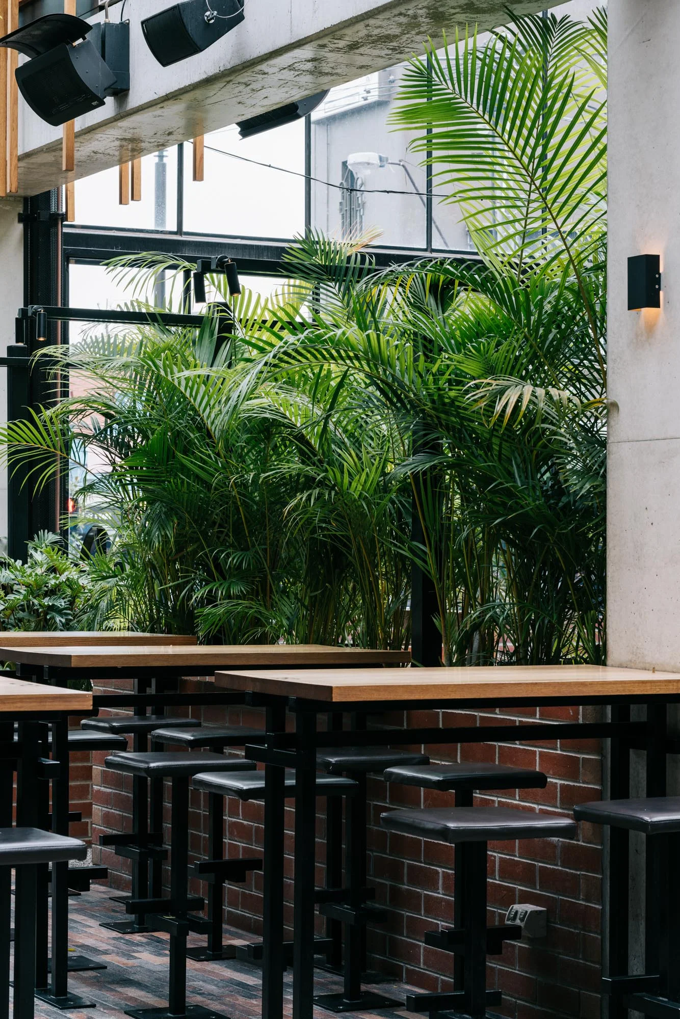 Ayus Botanical_low res-71.jpg