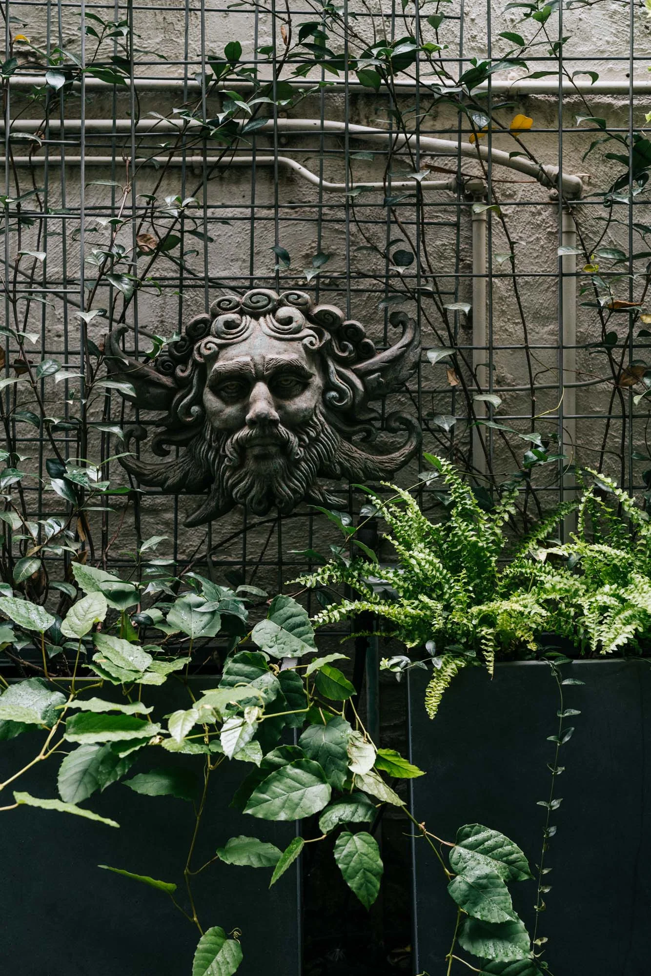 Ayus Botanical_low res-5.jpg