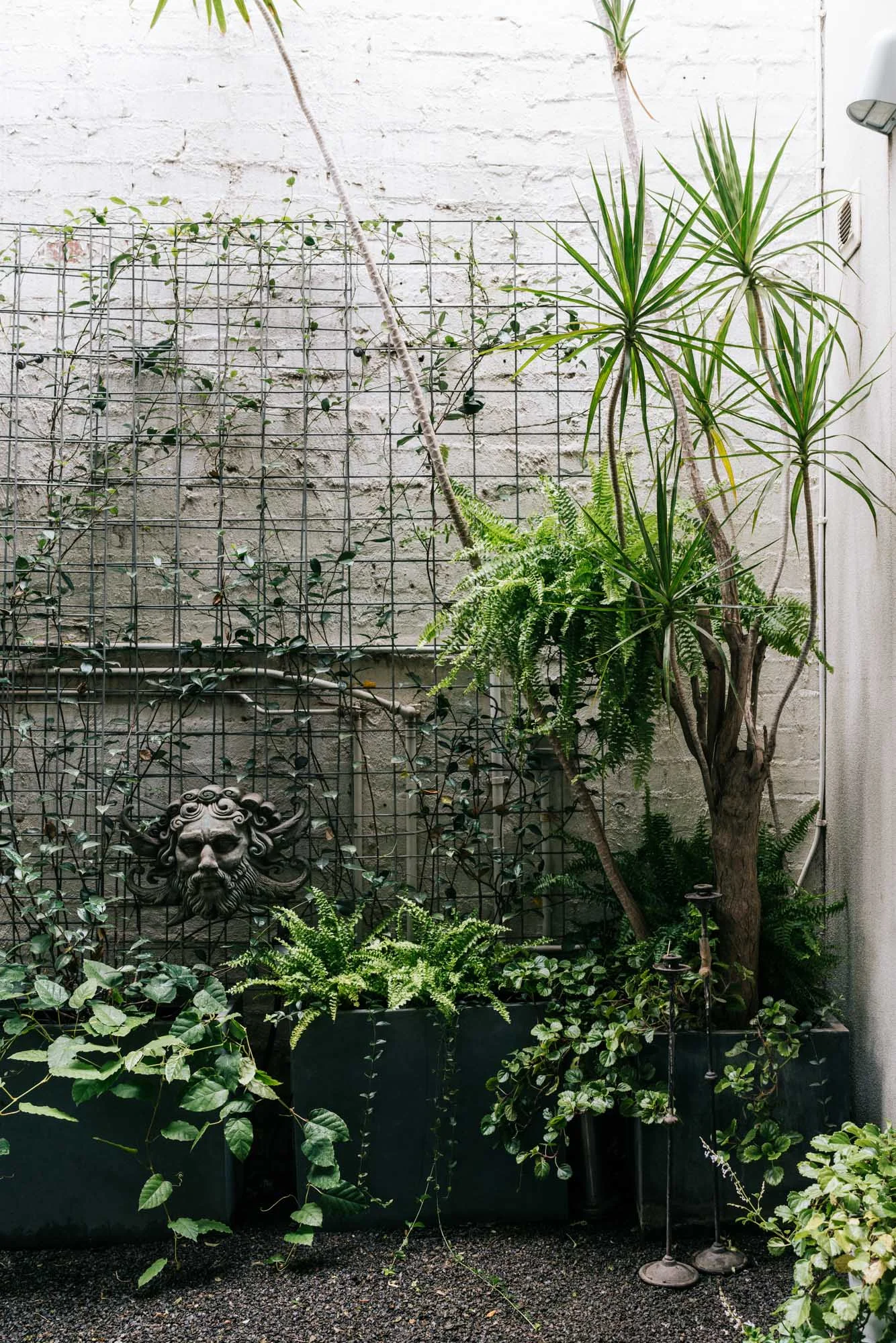 Ayus Botanical_low res-3.jpg