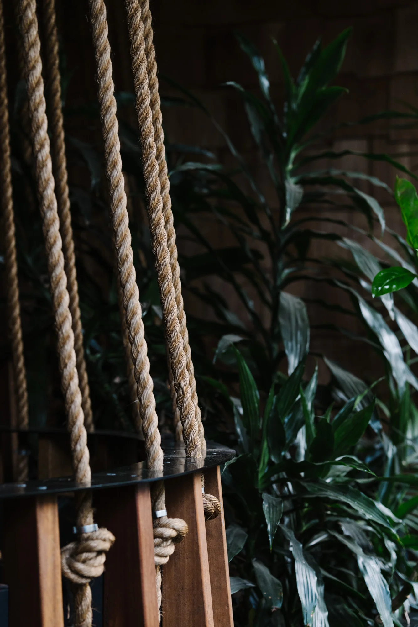 Ayus Botanical_low res-181.jpg