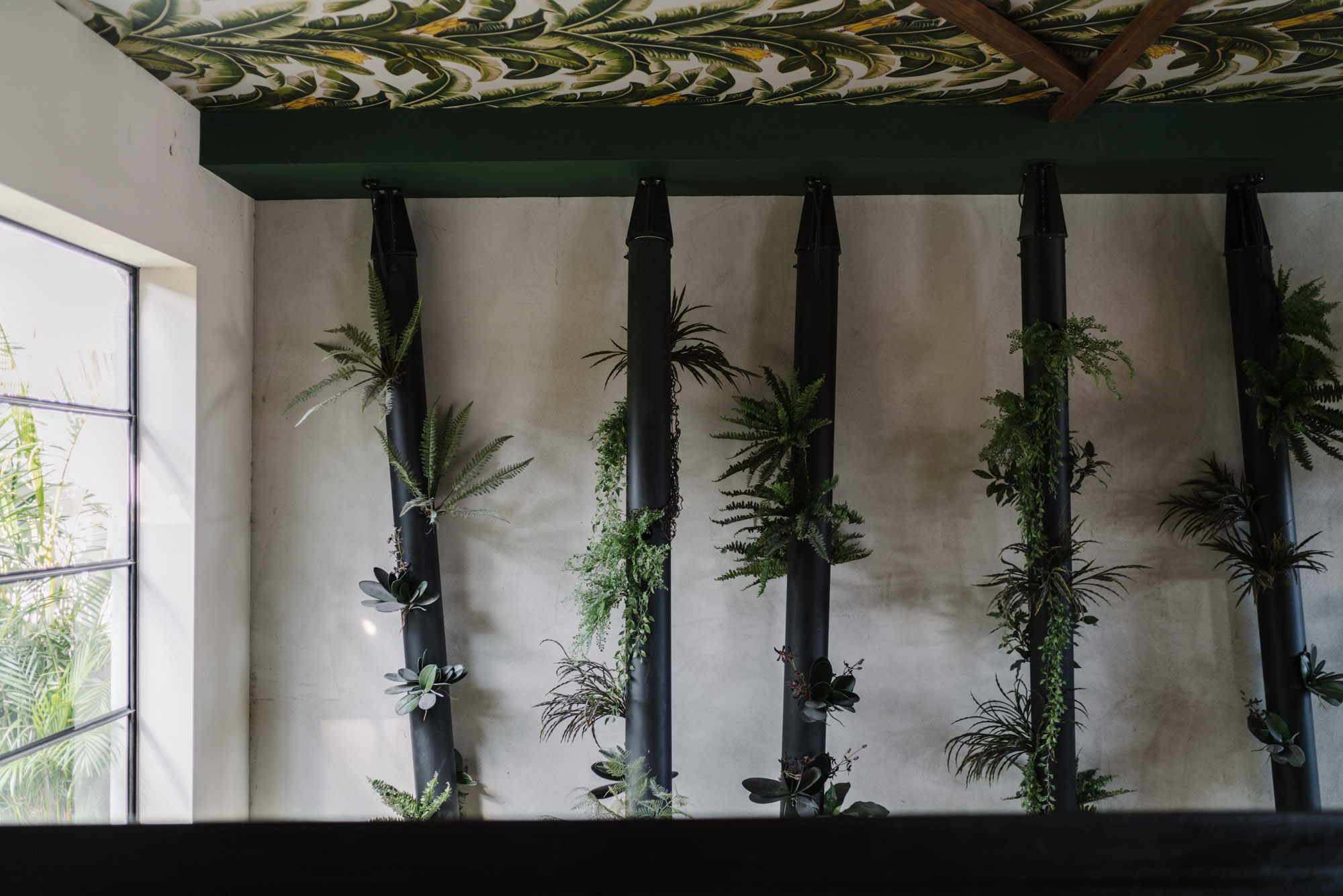 Ayus Botanical_low res-164.jpg