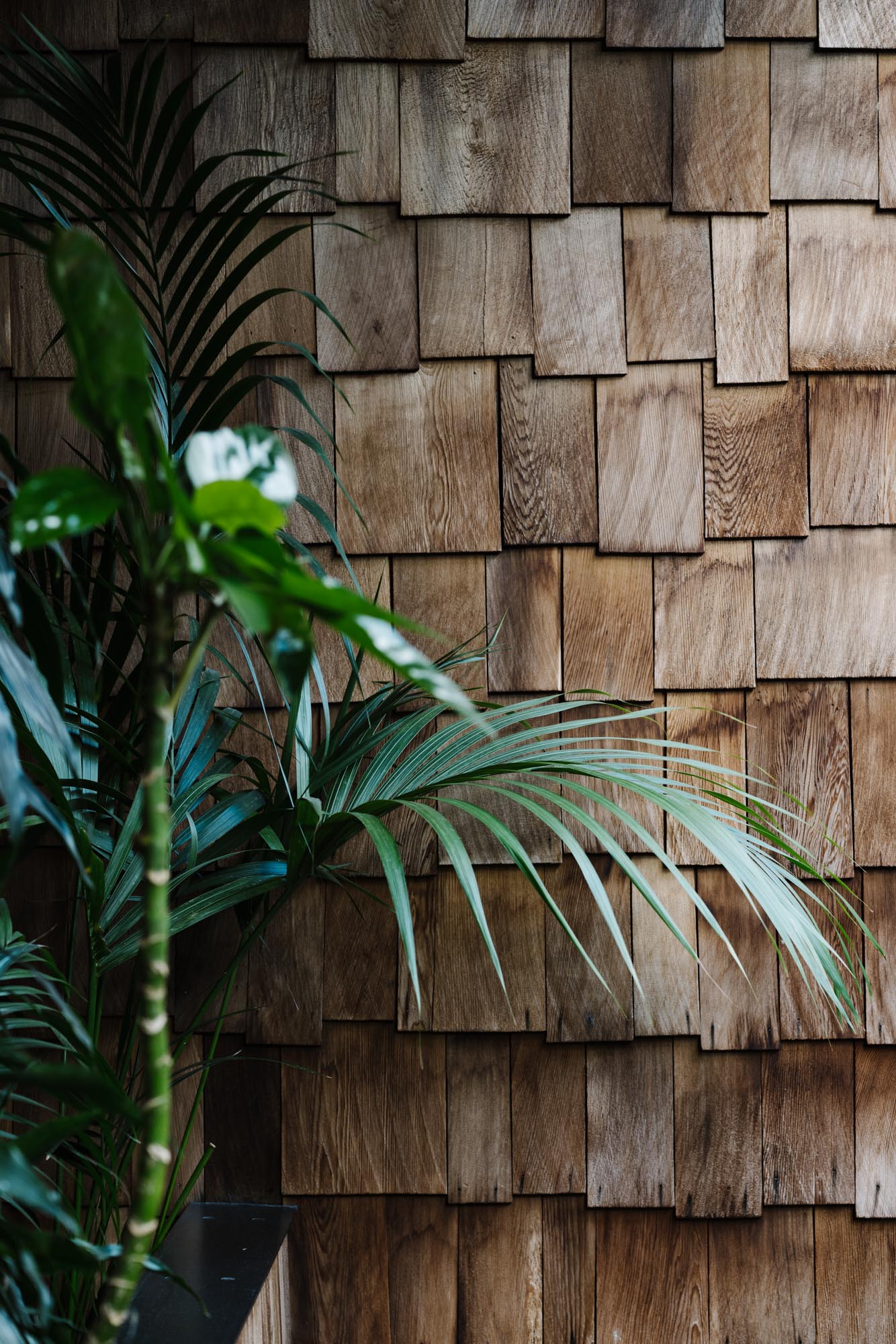 Ayus Botanical_low res-151.jpg