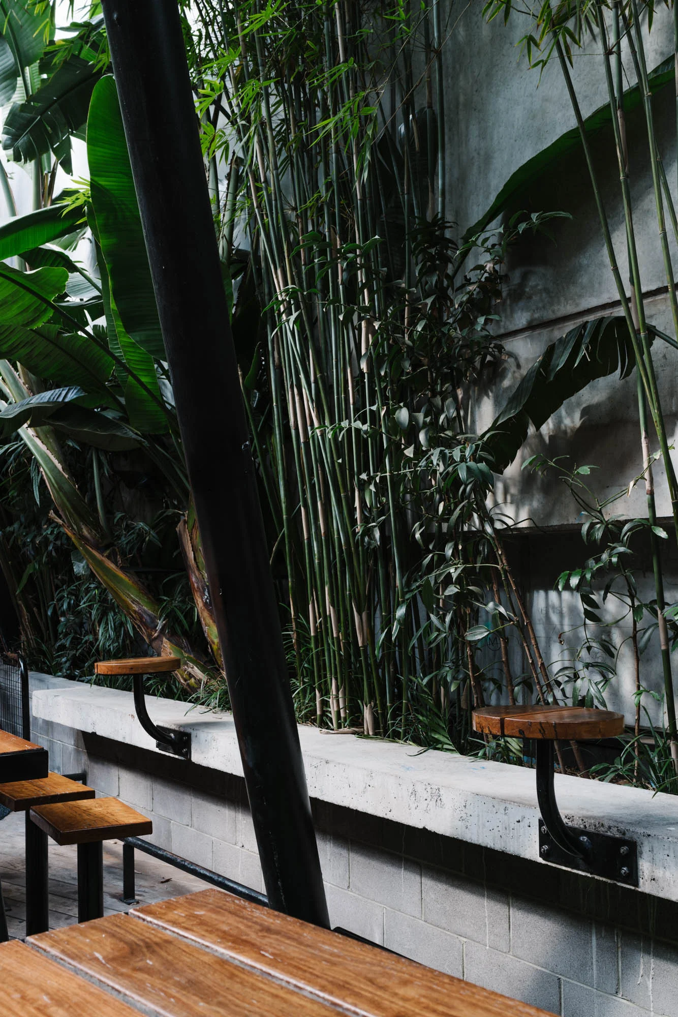 Ayus Botanical_low res-155.jpg