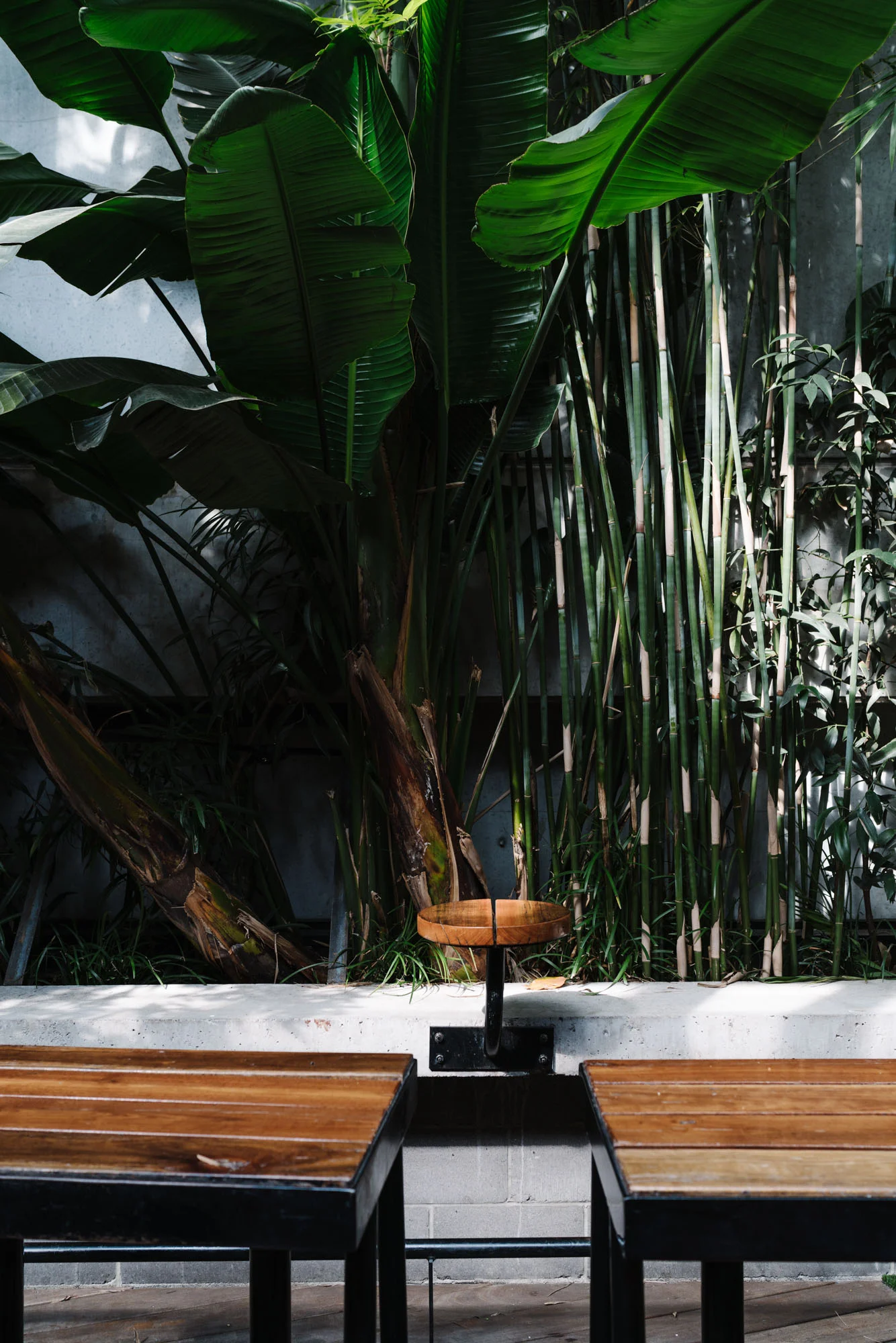 Ayus Botanical_low res-153.jpg