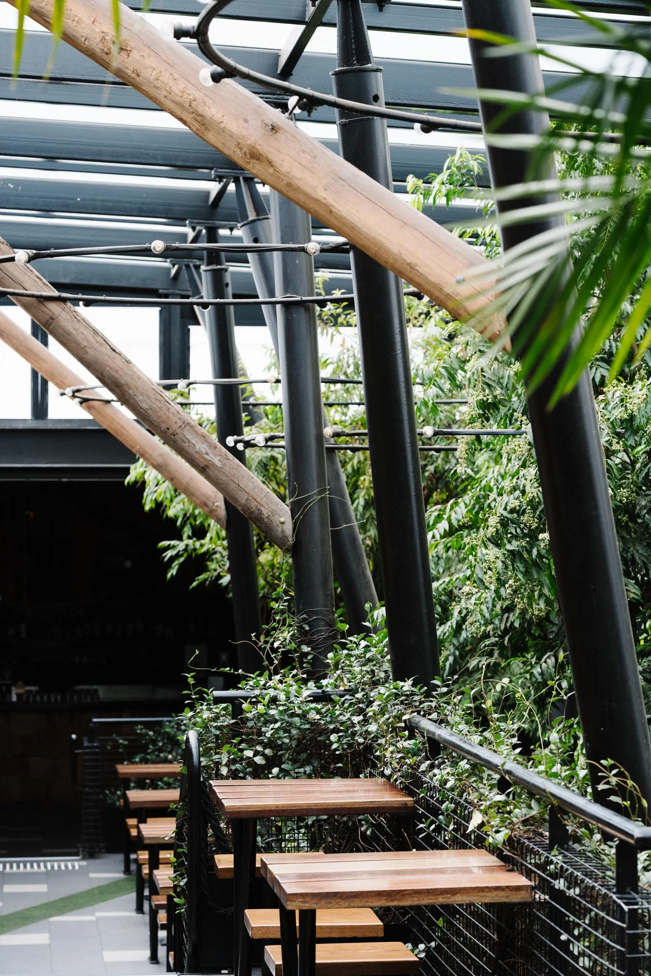 Ayus Botanical_low res-146.jpg