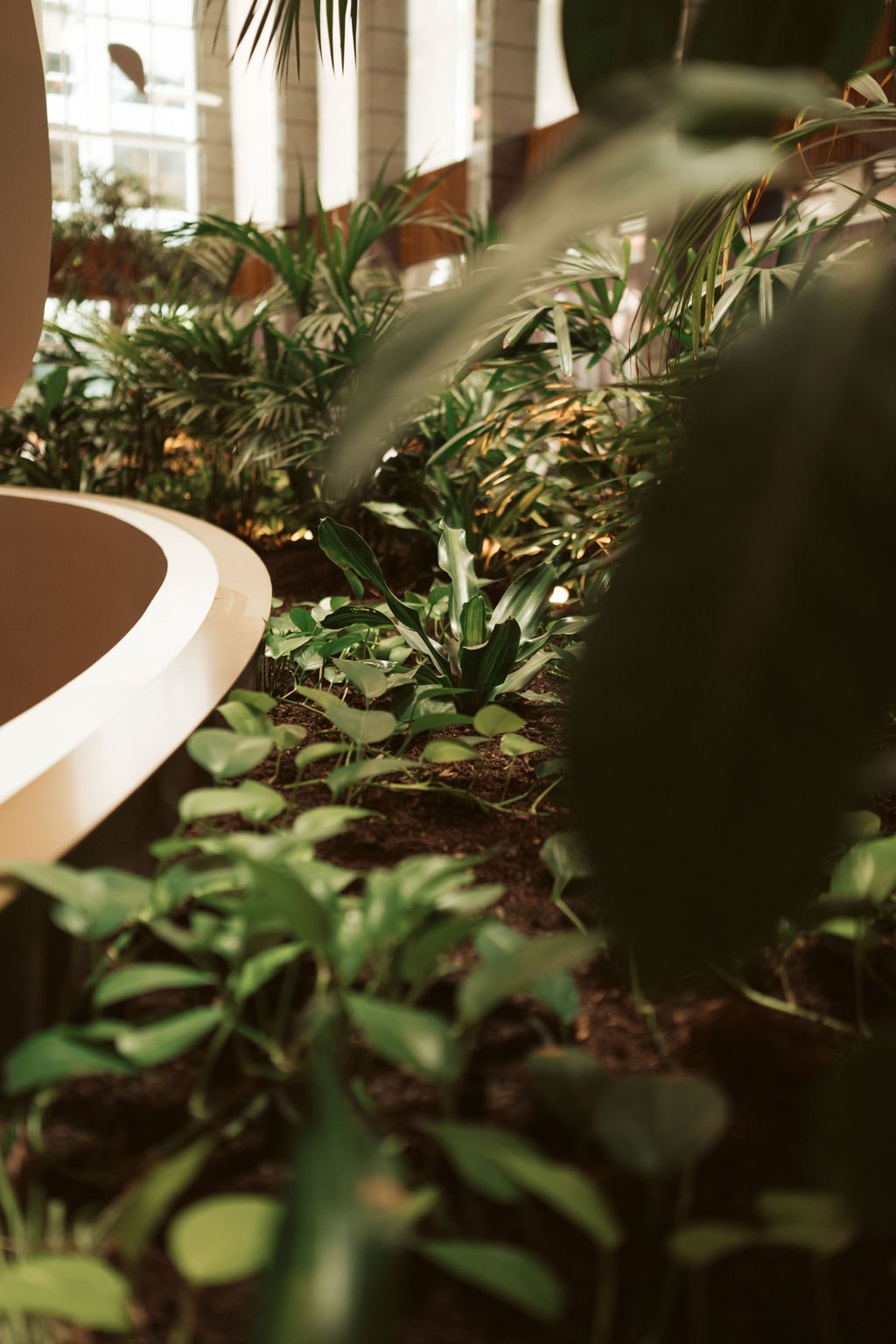 Ayus Botanical_NB_RACV_Nov_2024-21.jpg