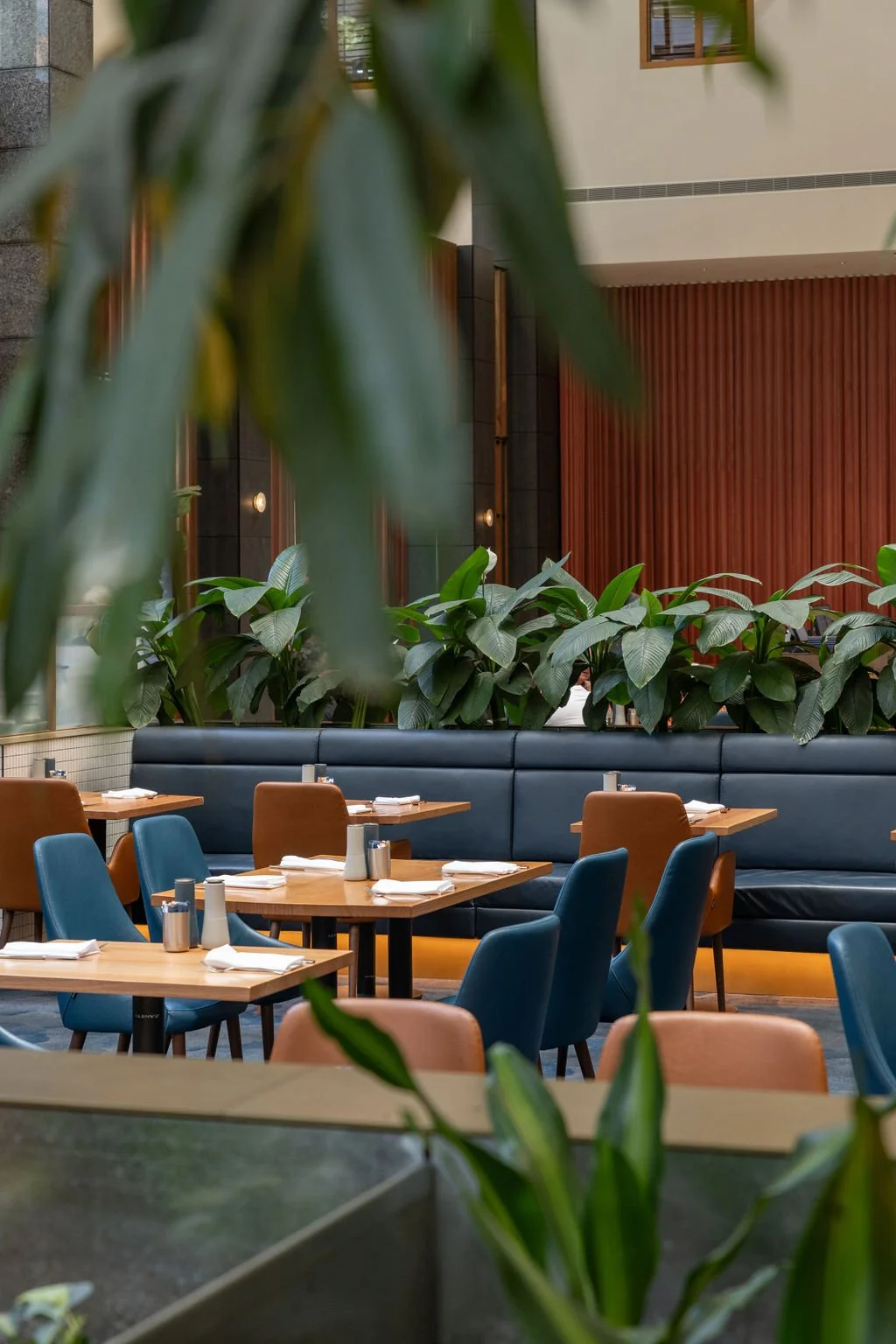 h_Ayus Botanical_NB_RACV_Nov_2024-6.jpg