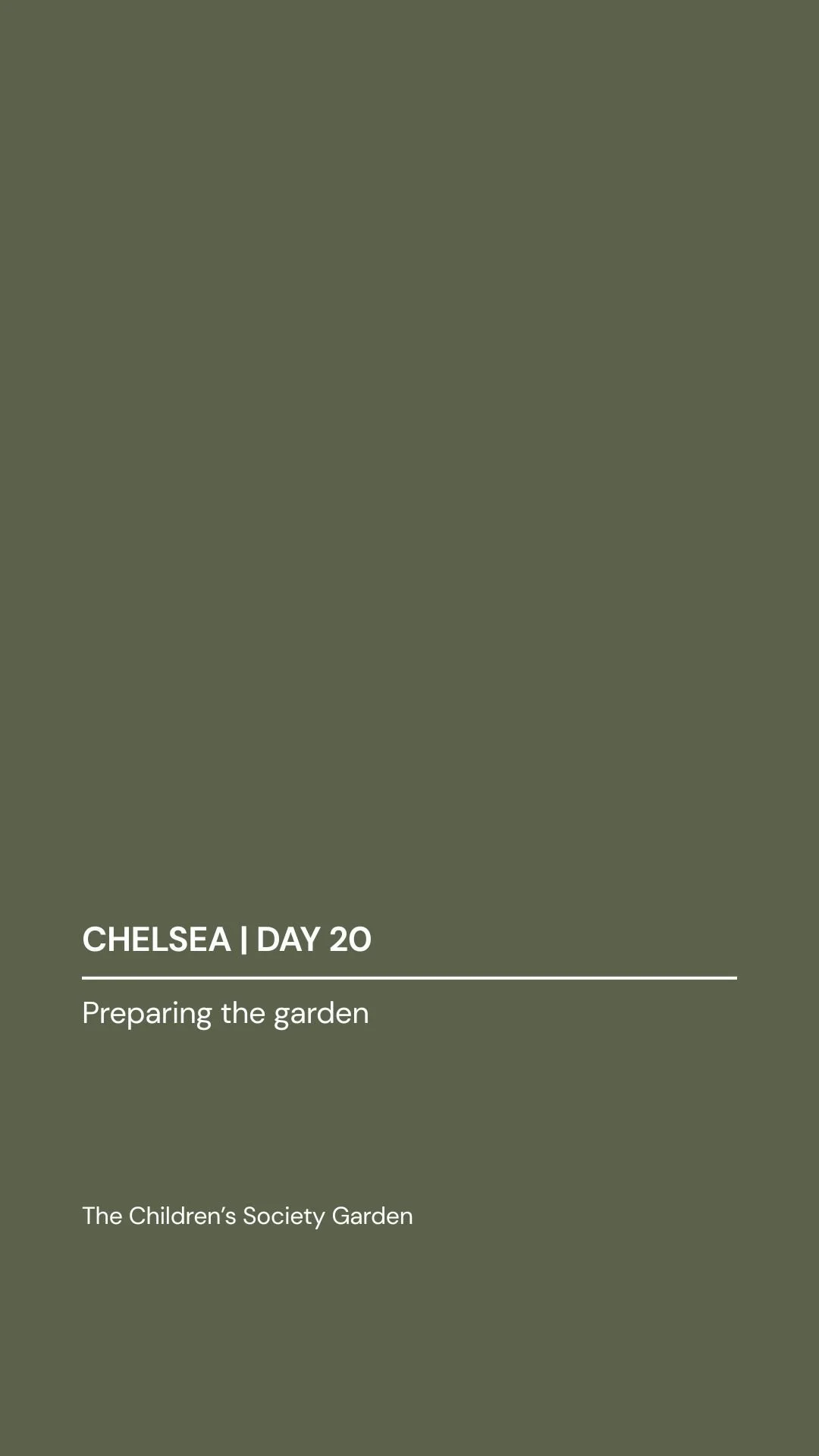 D20 cover 2.jpg