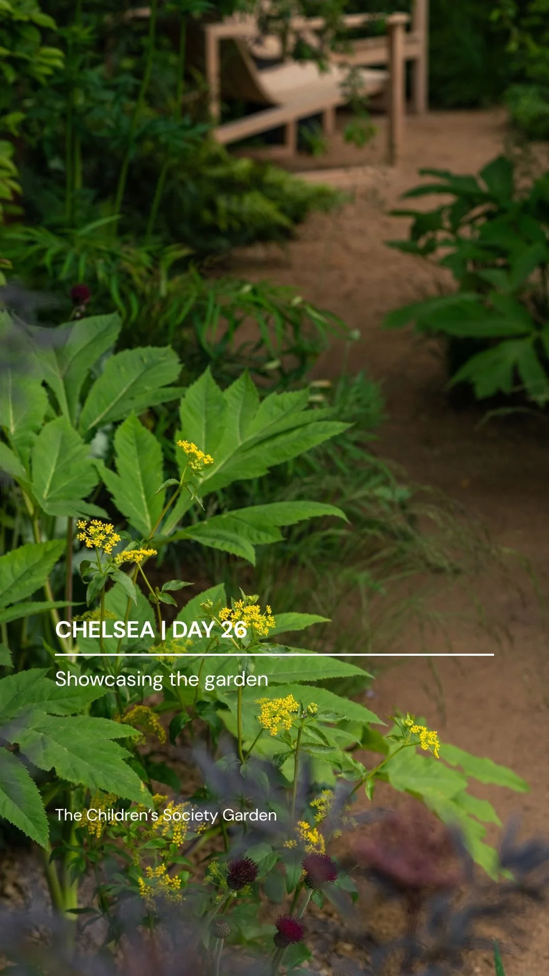 D26 cover.jpg