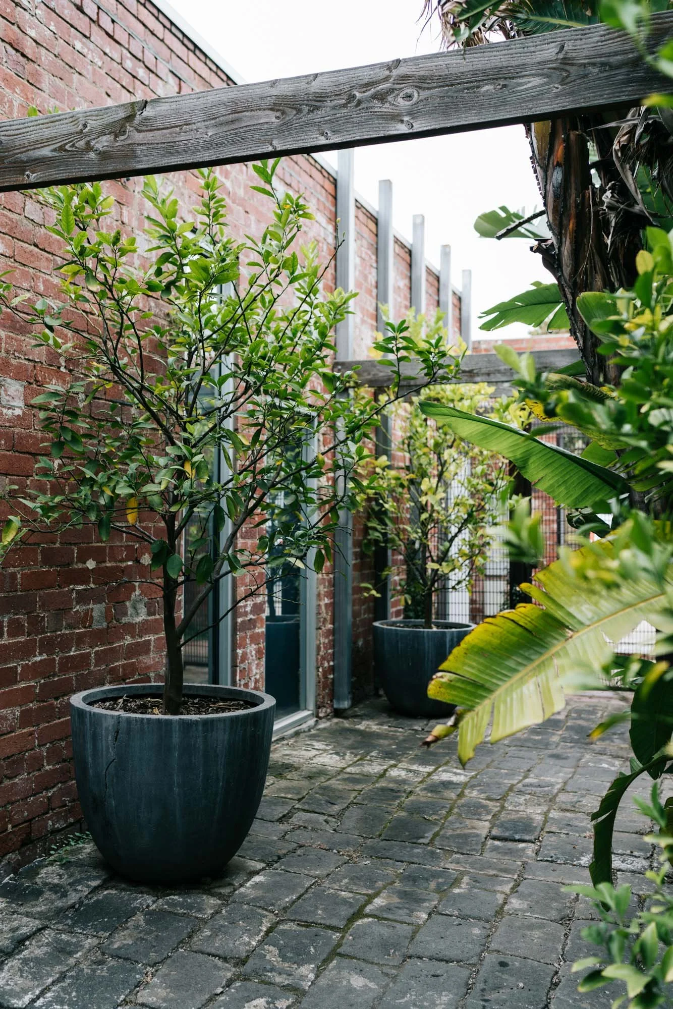 Ayus Botanical_low res-32.jpg