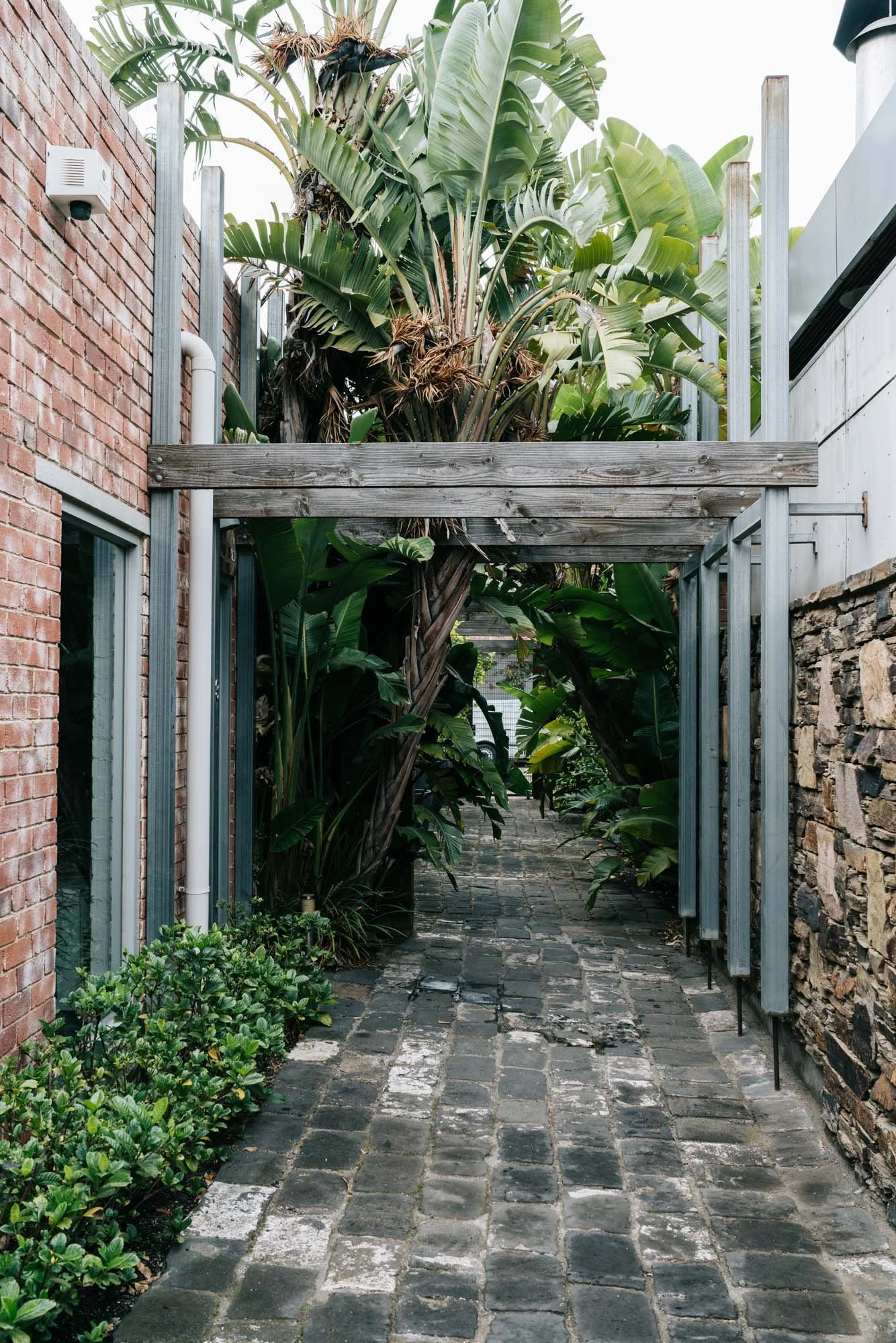 Ayus Botanical_low res-31.jpg