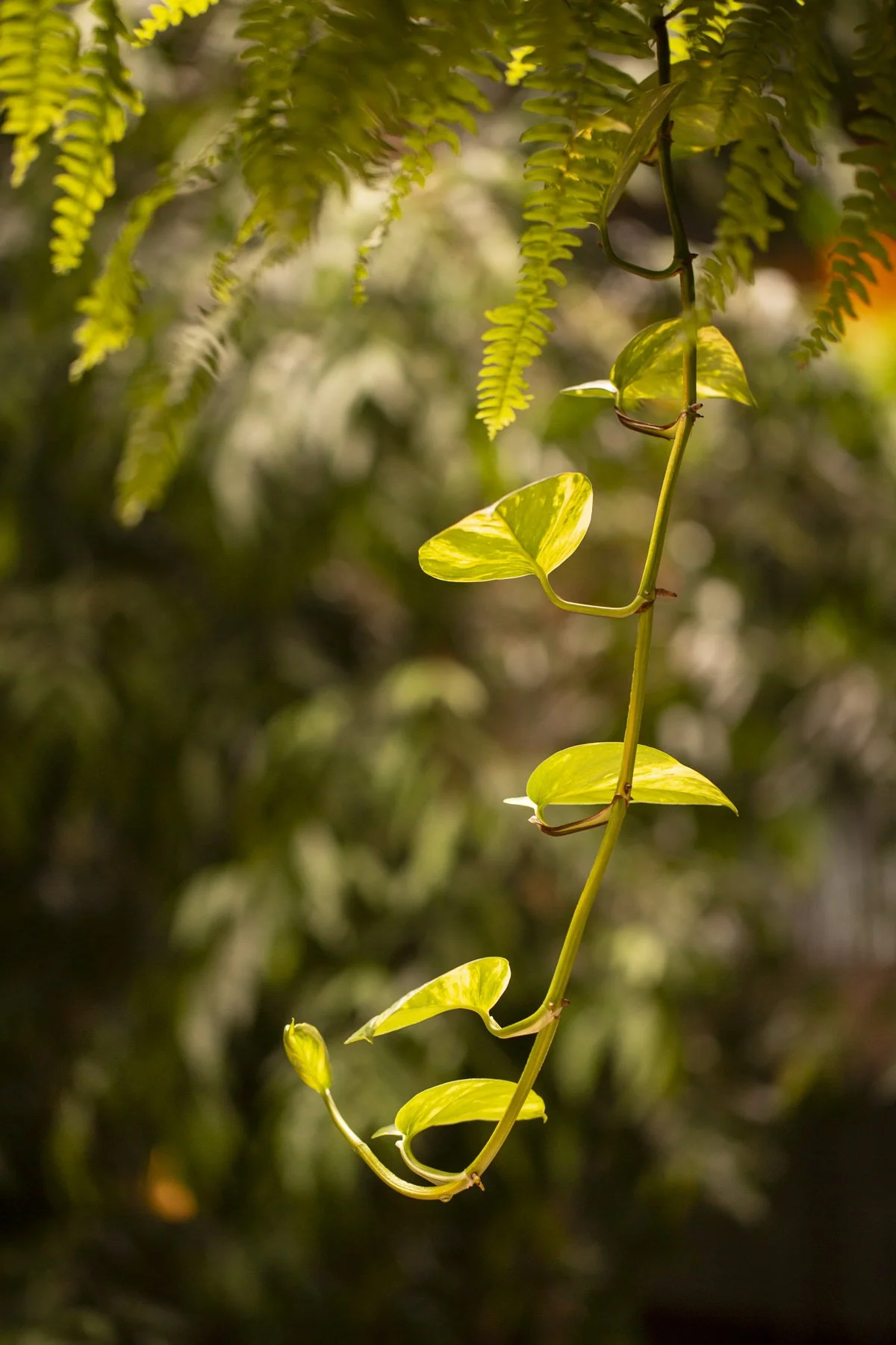 H_Ayusa_Waterside_9546_Gemmola_LR.jpg