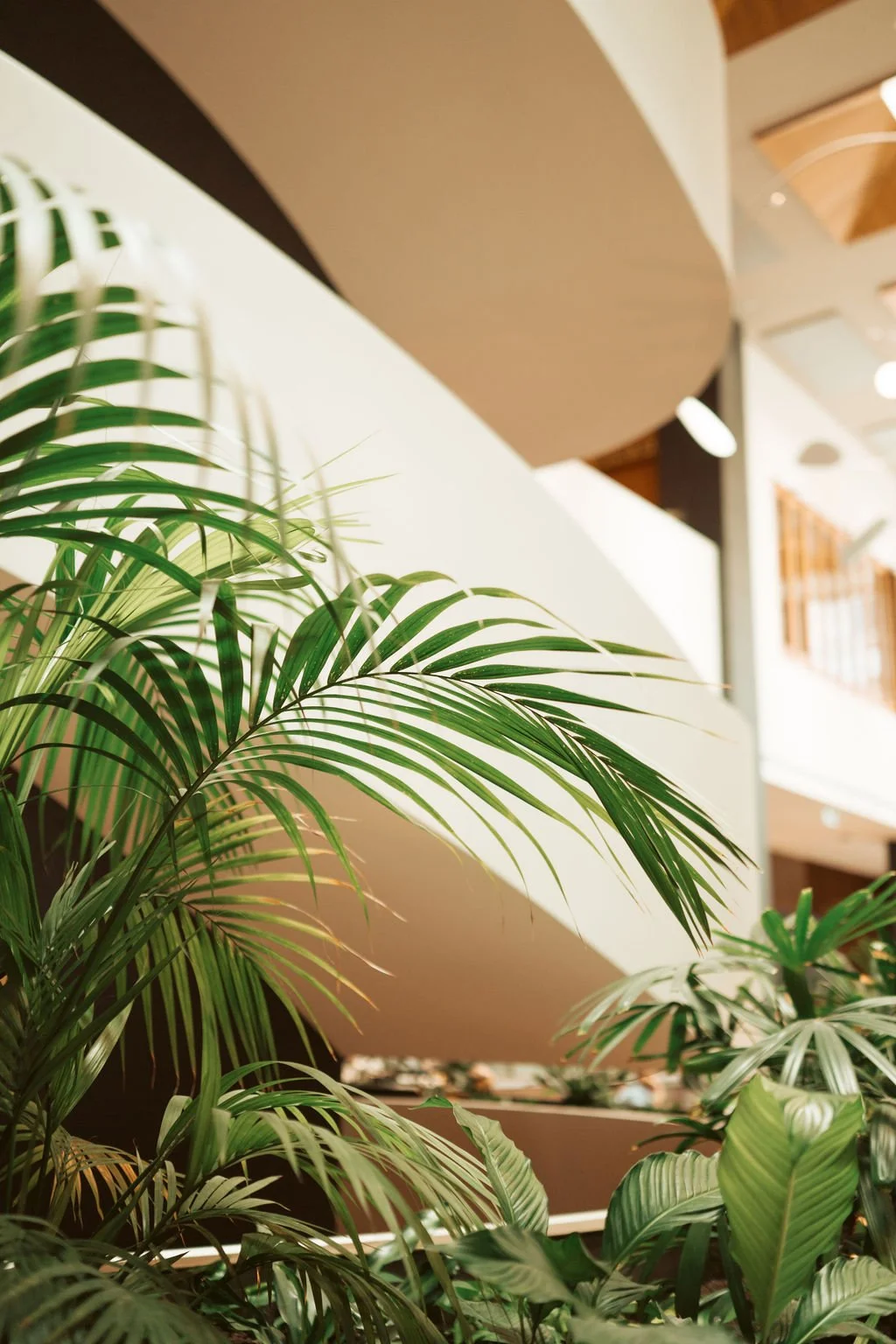 h_Ayus Botanical_NB_RACV_Nov_2024-23.jpg