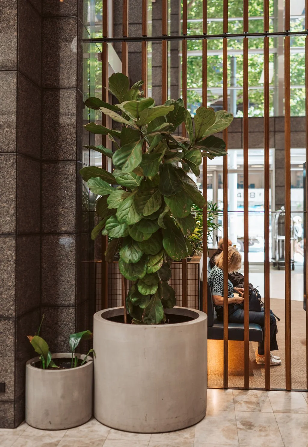 Ayus Botanical_NB_RACV_Nov_2024-25.jpg