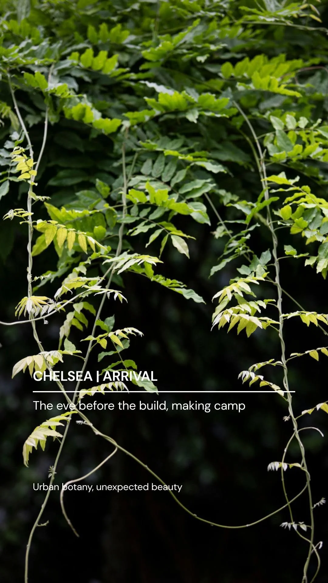 Arrival Cover.jpg