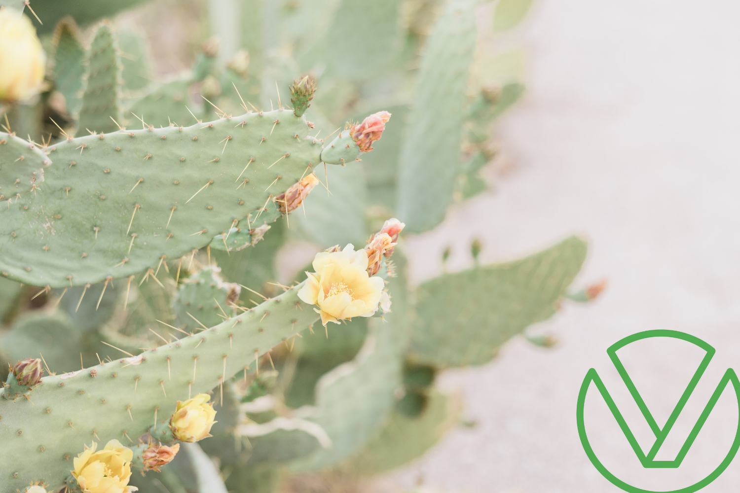 100% Bonus Depreciation Is Back—And It’s Now Permanent