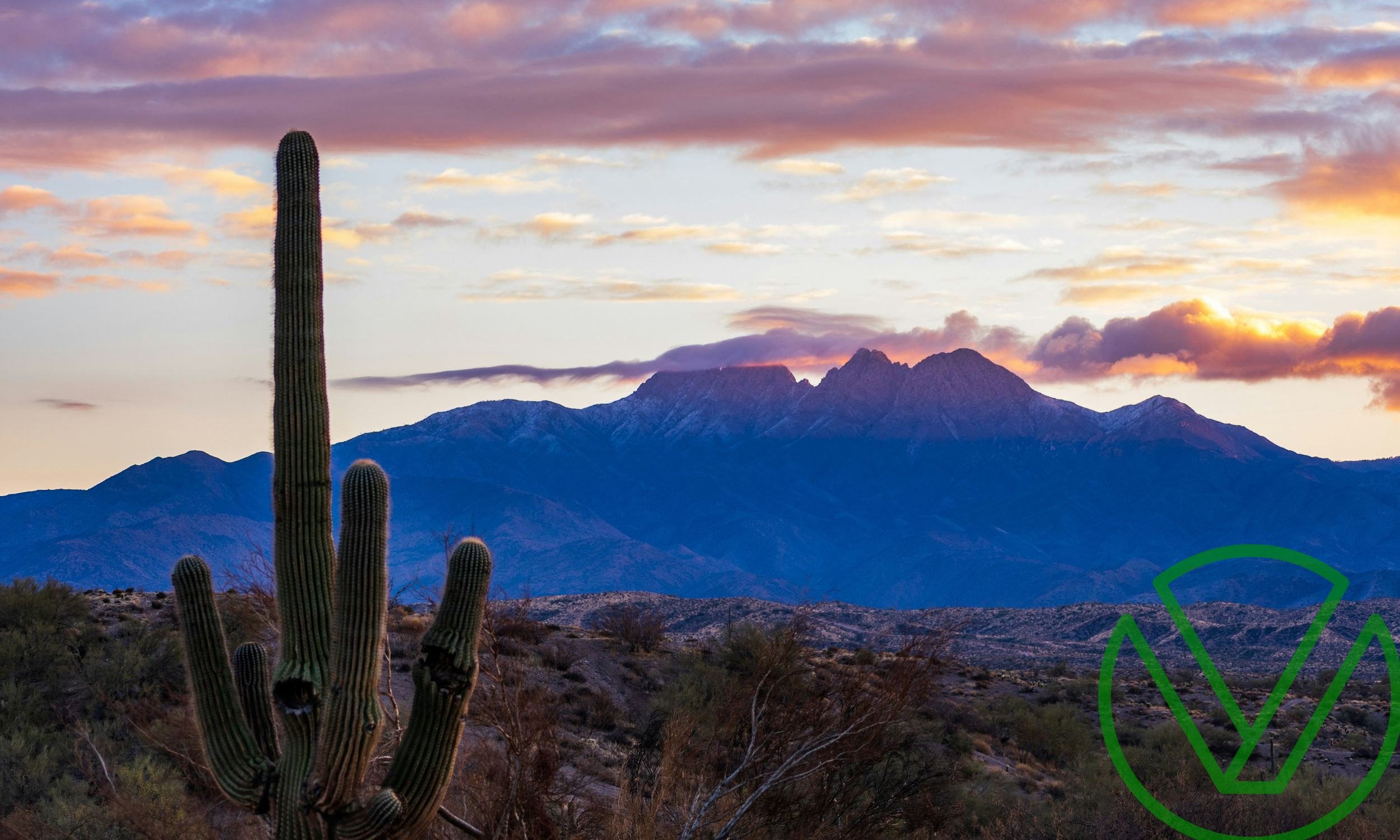 Sunset view of the Four Peaks mountains in Arizona with a saguaro cactus in the foreground, representing growth and resilience ideal for illustrating strategies small business owners can use to maximize tax benefits through retirement contributions.