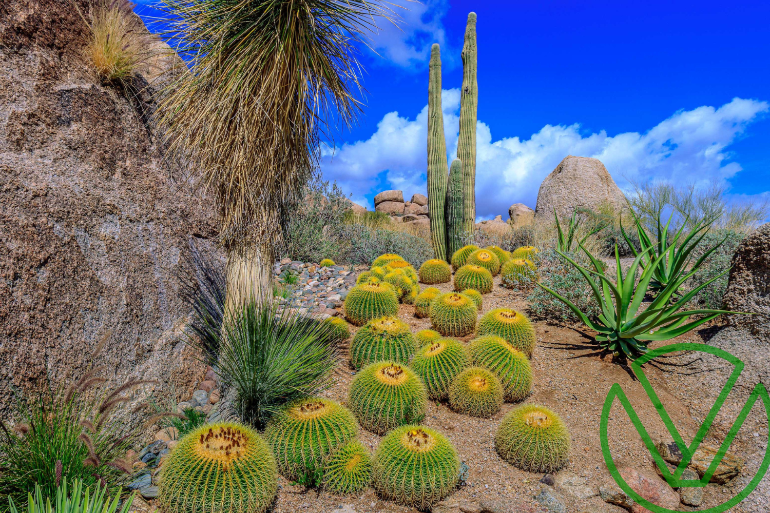 Taking Equity in Lieu of Payment - Things you need to know