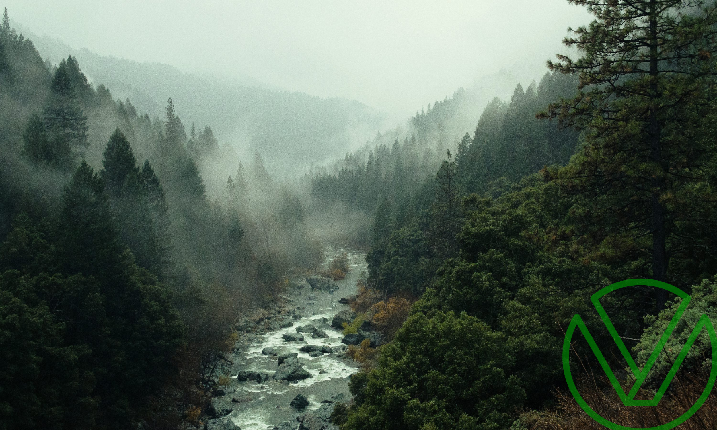 Tax Savings Strategies Through Charitable Giving, Serene Forest with Mists, Harmonize Finances