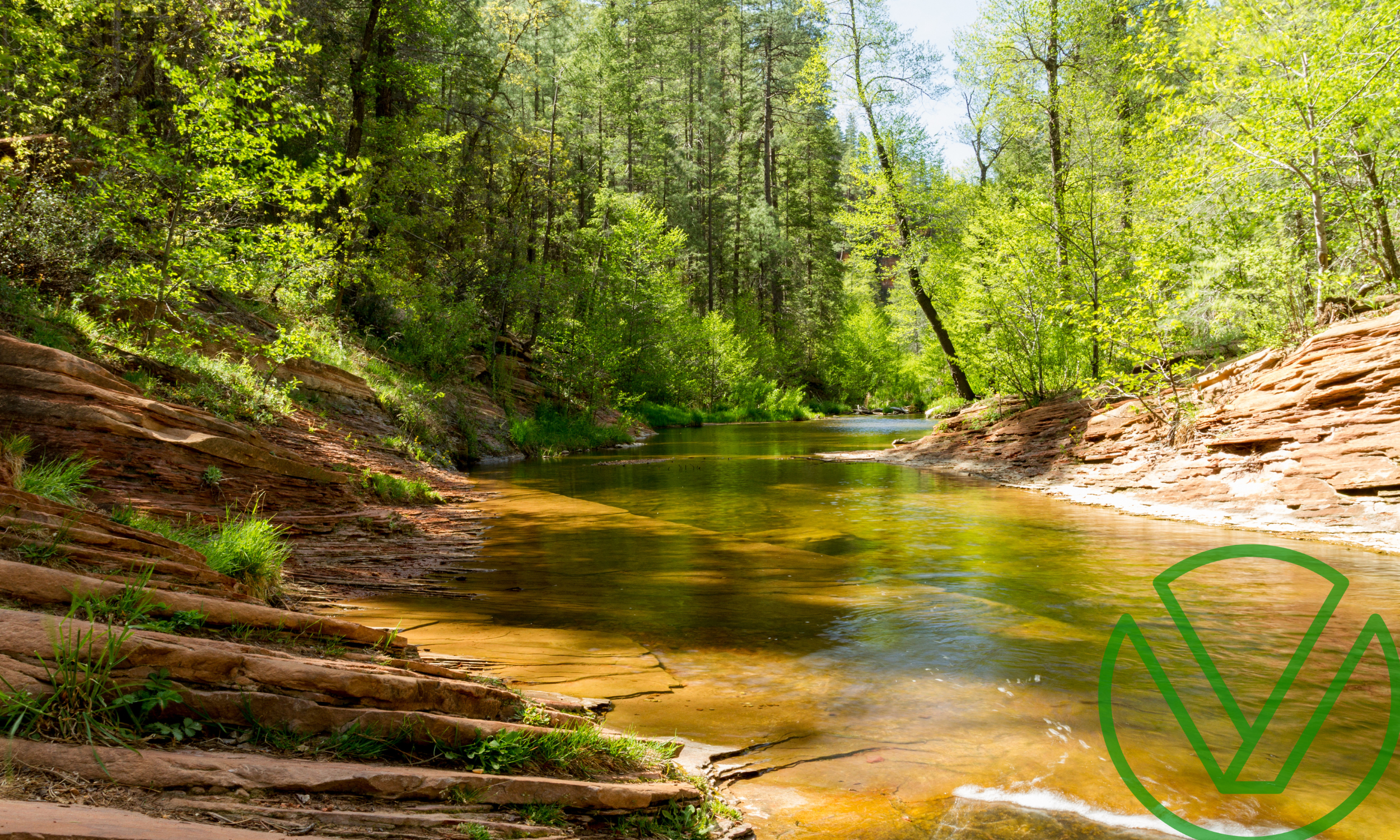 A peaceful river flowing through a lush green forest, symbolizing financial security and the importance of staying vigilant against IRS tax scams in 2025.