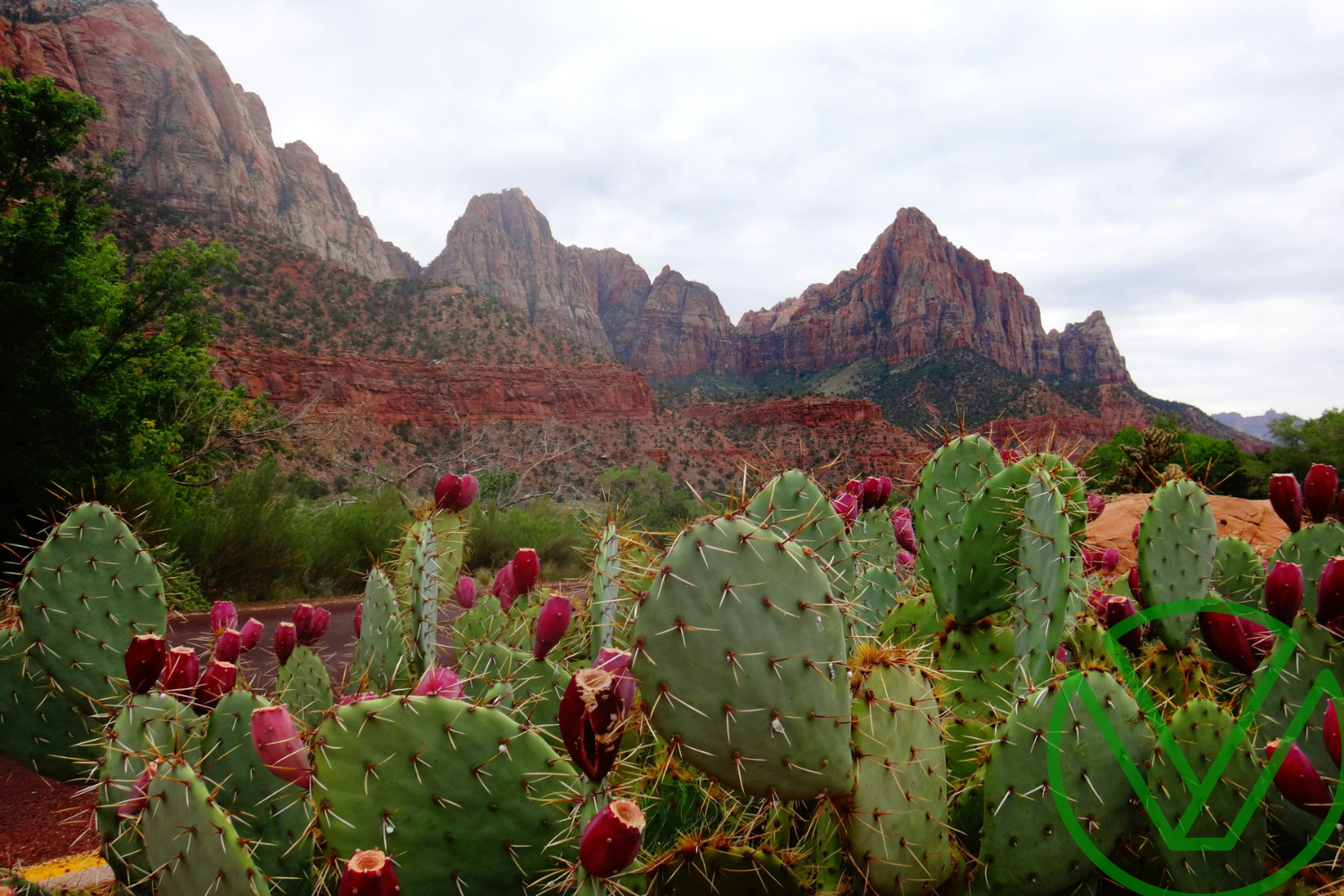 What are the Key Tax Implications for Businesses and Individuals with Trump’s “One Big Beautiful Bill” that is currently being considered by the Senate?