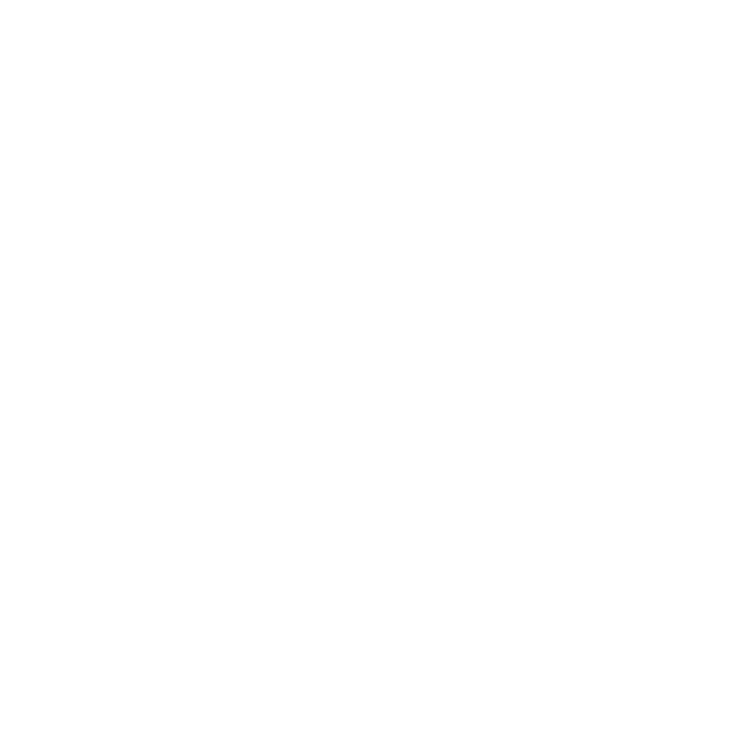 Reintegra