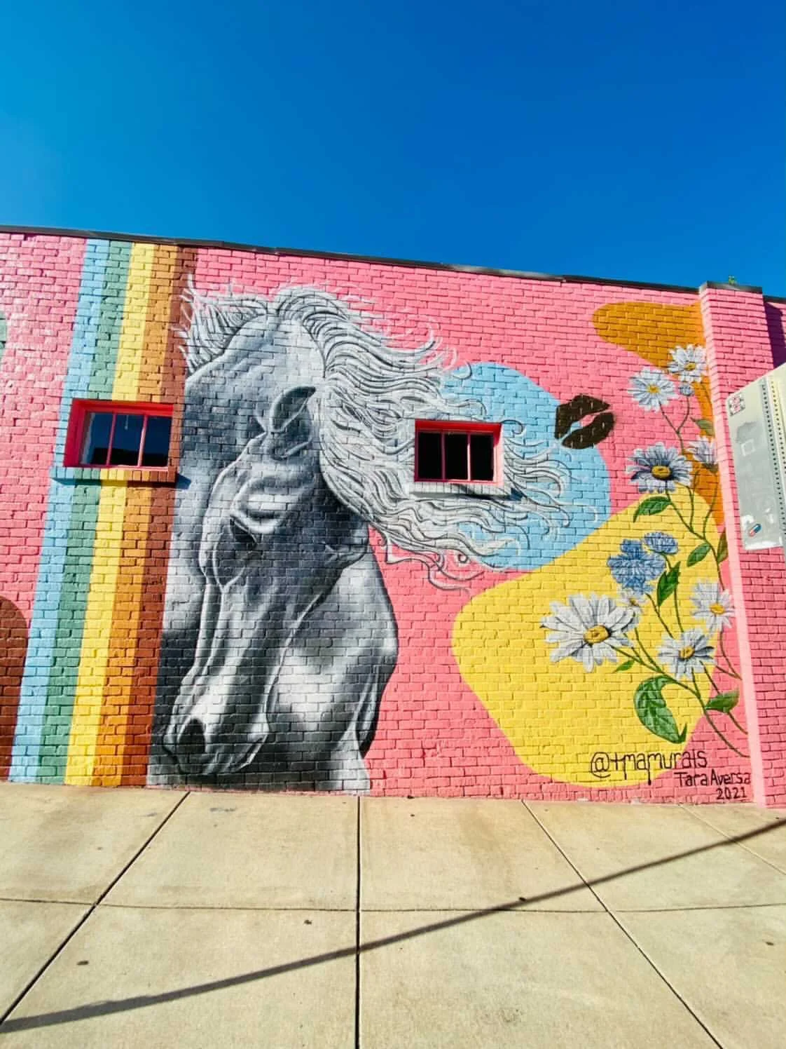 Colorful mural of a gray horse with flowing mane, rainbow stripes, daisies, a butterfly, and a pair of black lips on a pink brick wall.