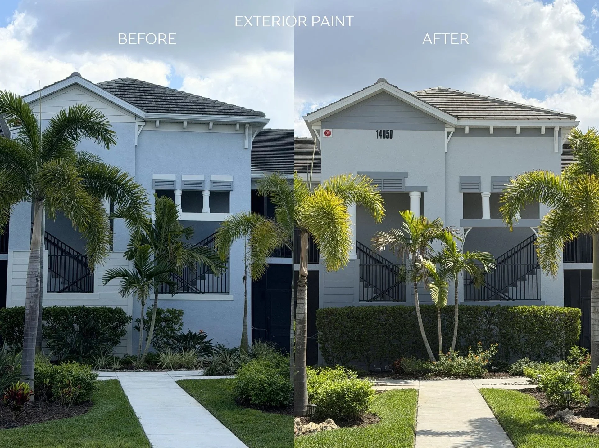 FRESH+COAT-5.jpg