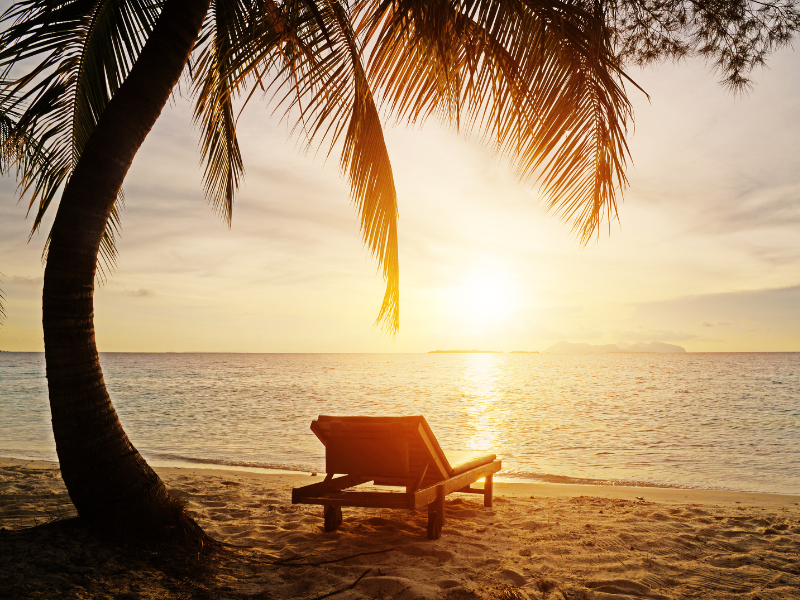 The 3:00 AM Protocol