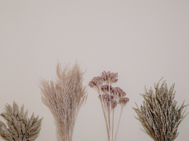 Define and Defend Your “Why”