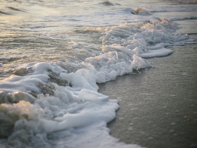 Bankruptcy Explained