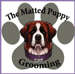 The Matted Puppy Grooming