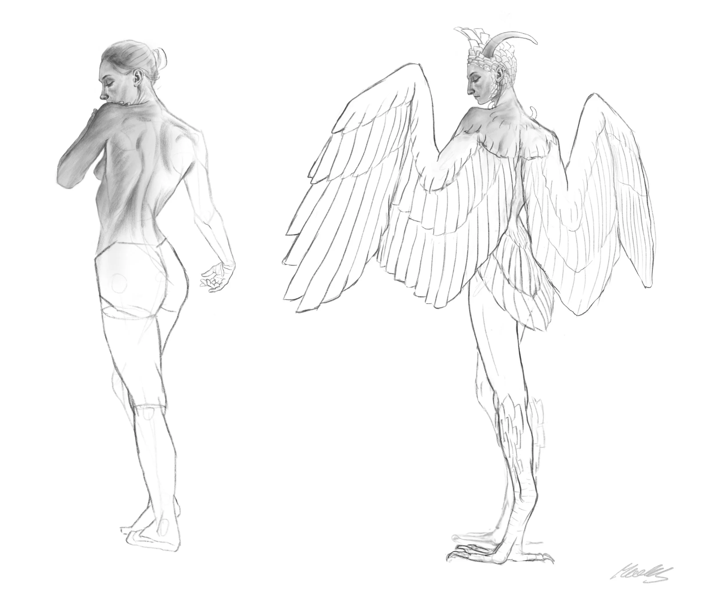 Photo Feb 04 2026, 10 23 24 PM (4).jpg