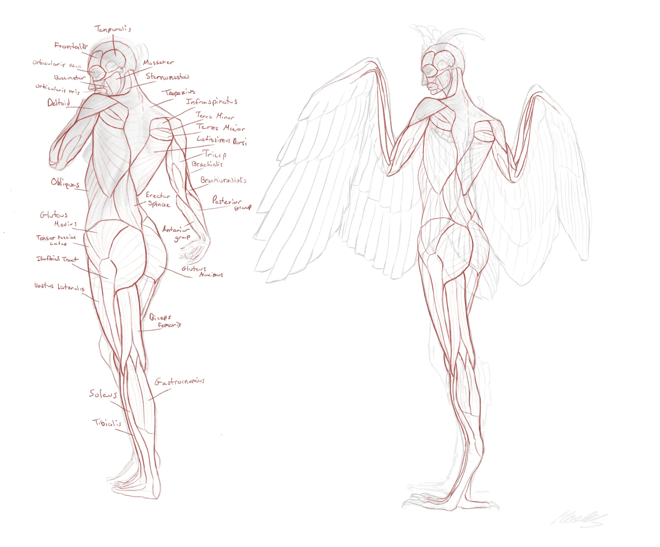 Photo Feb 04 2026, 10 23 24 PM (2).jpg