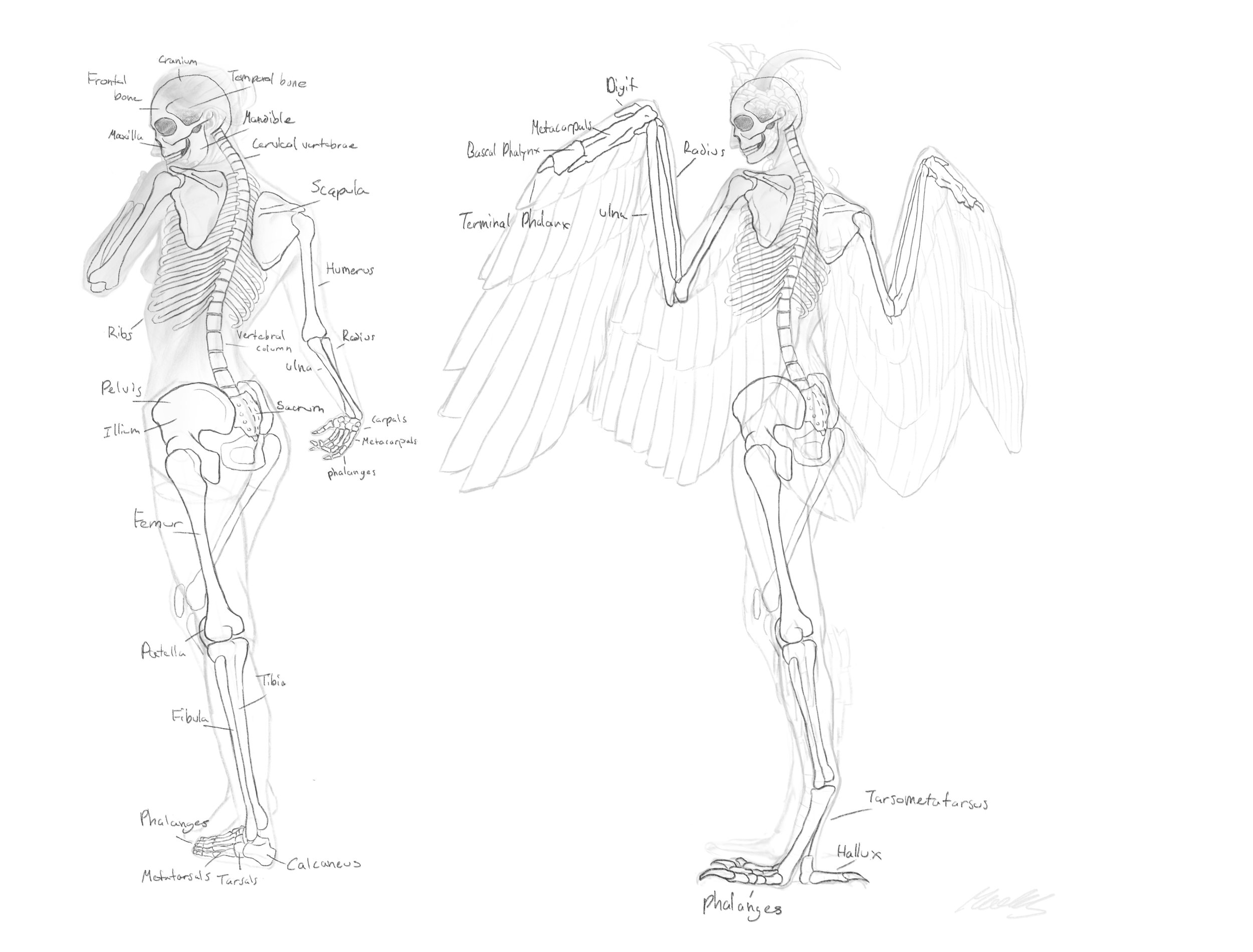 Photo Feb 04 2026, 10 23 24 PM.jpg