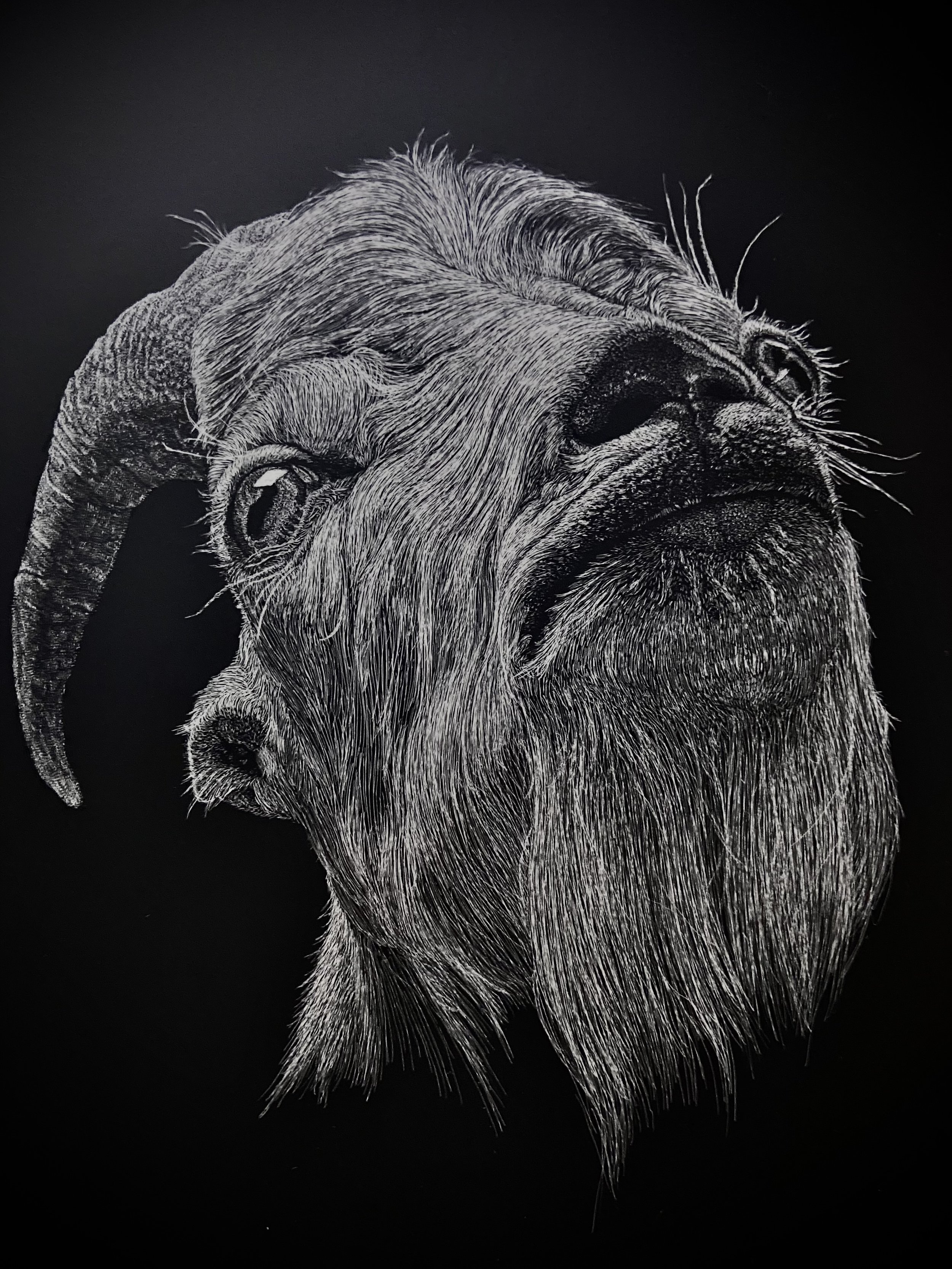 Photo Nov 08 2020, 11 30 07 PM.jpg