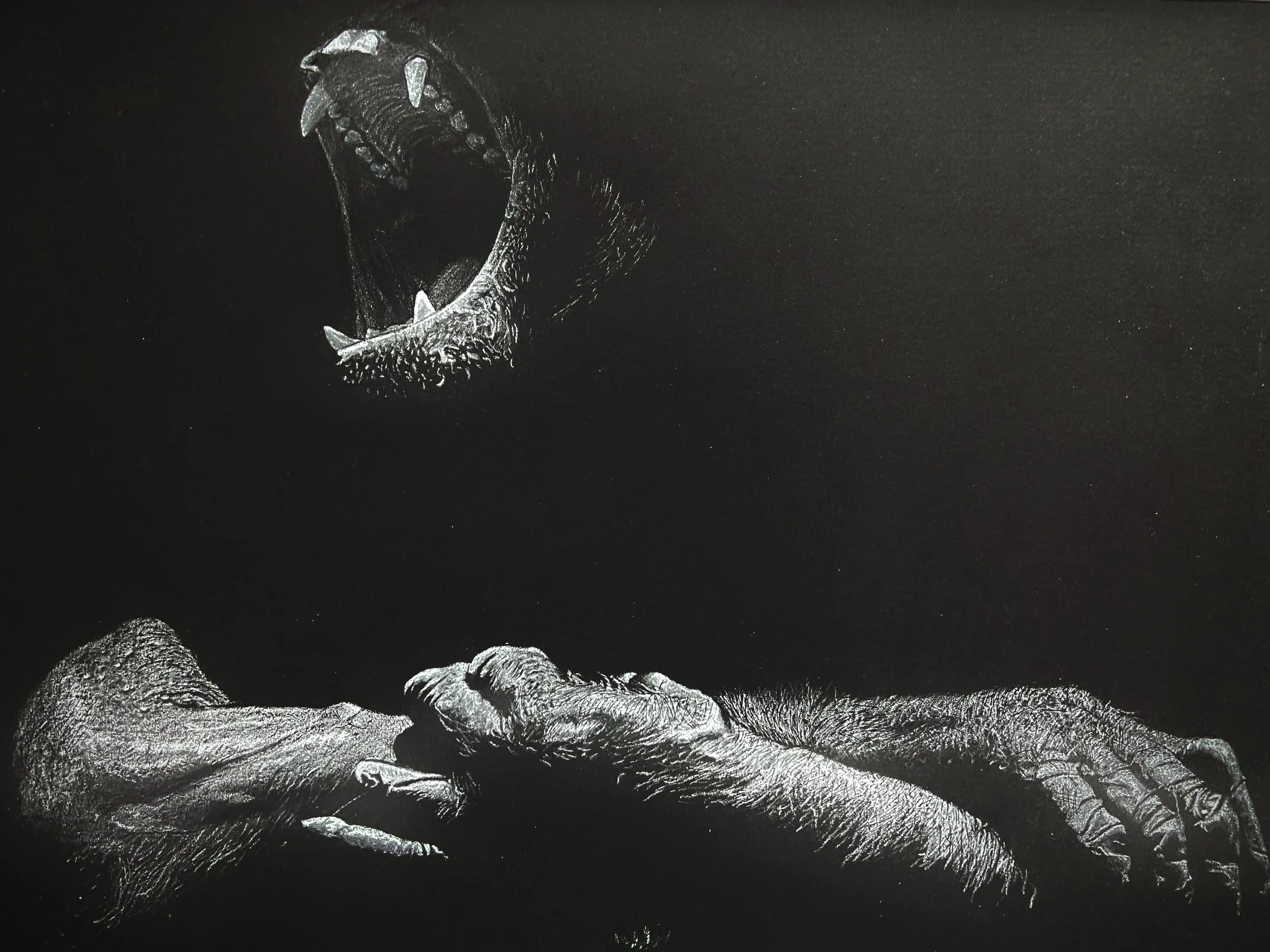 Photo Feb 04 2026, 10 29 51 PM.jpg