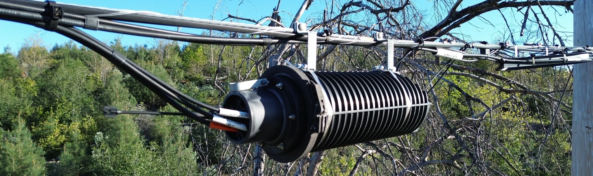 Close-up of electrical equipment on a utility pole with trees and blue sky in the background.