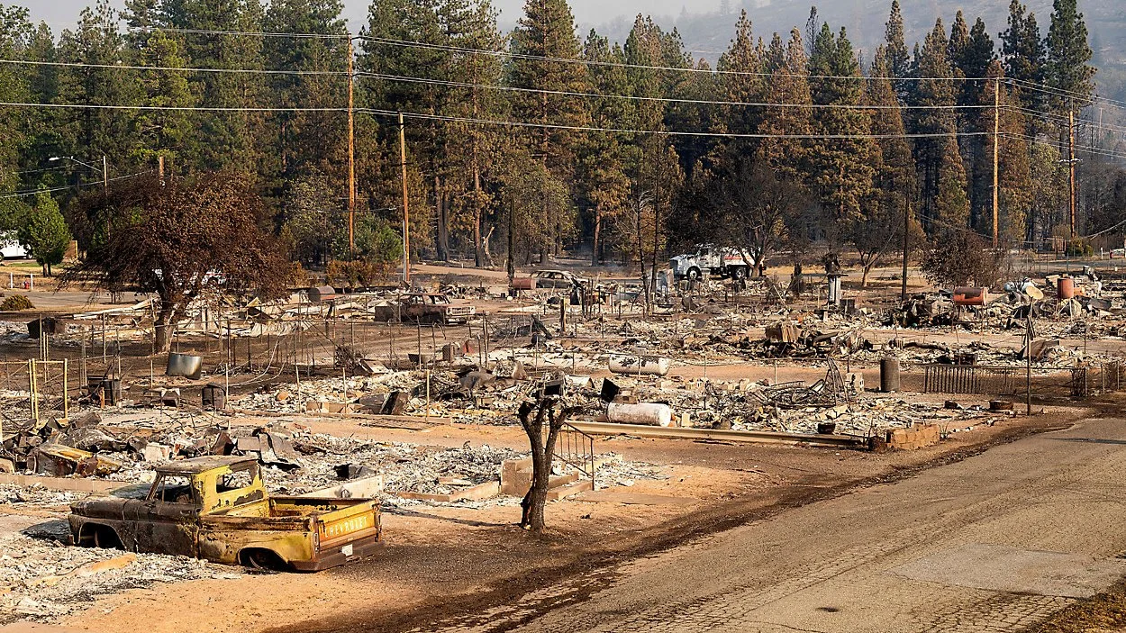 Burned area with wreckage, damaged vehicles, charred trees, and ash-covered ground after a wildfire