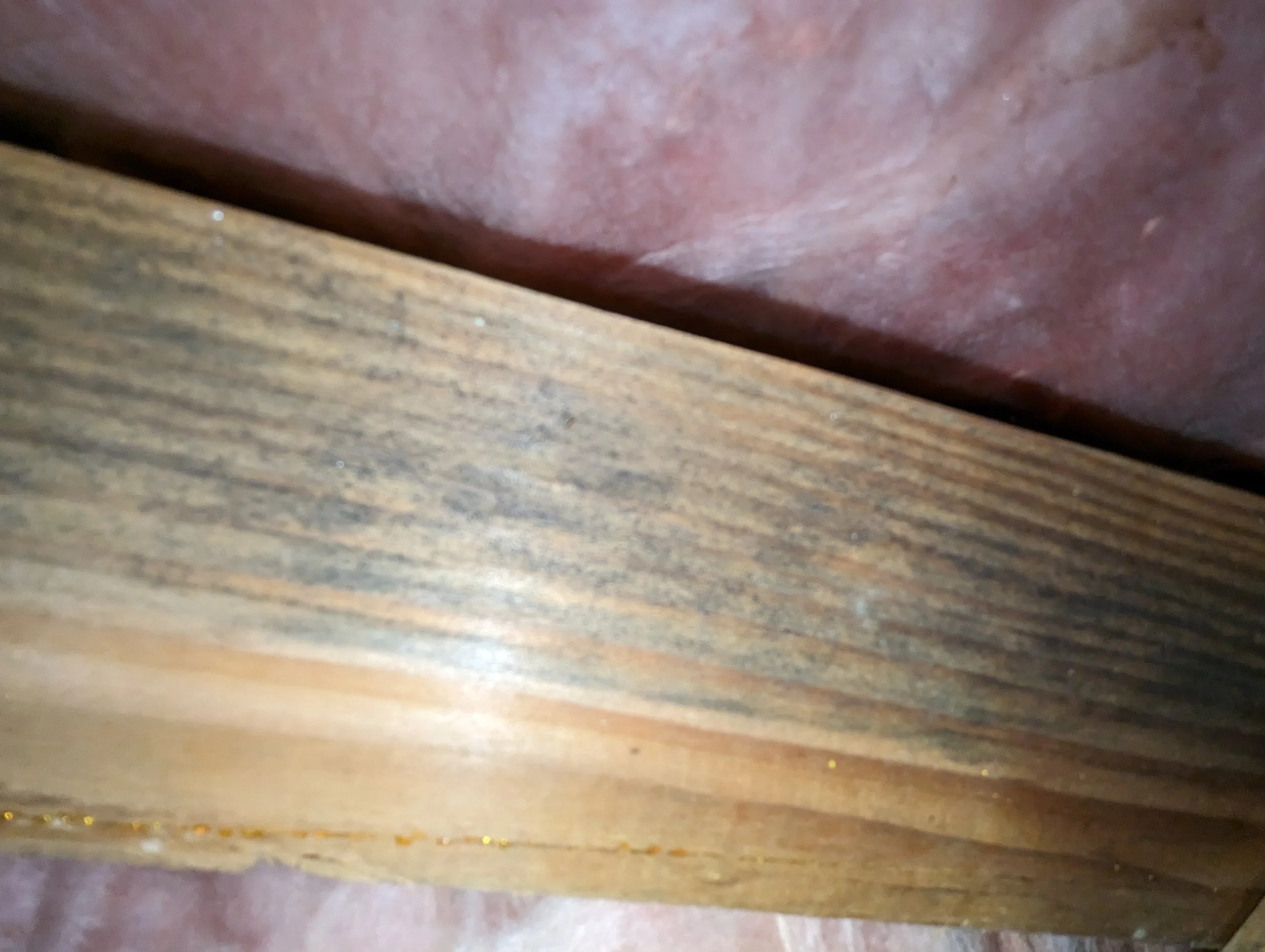 Close-up of a wooden object with a smooth polished surface and a natural wood grain pattern.