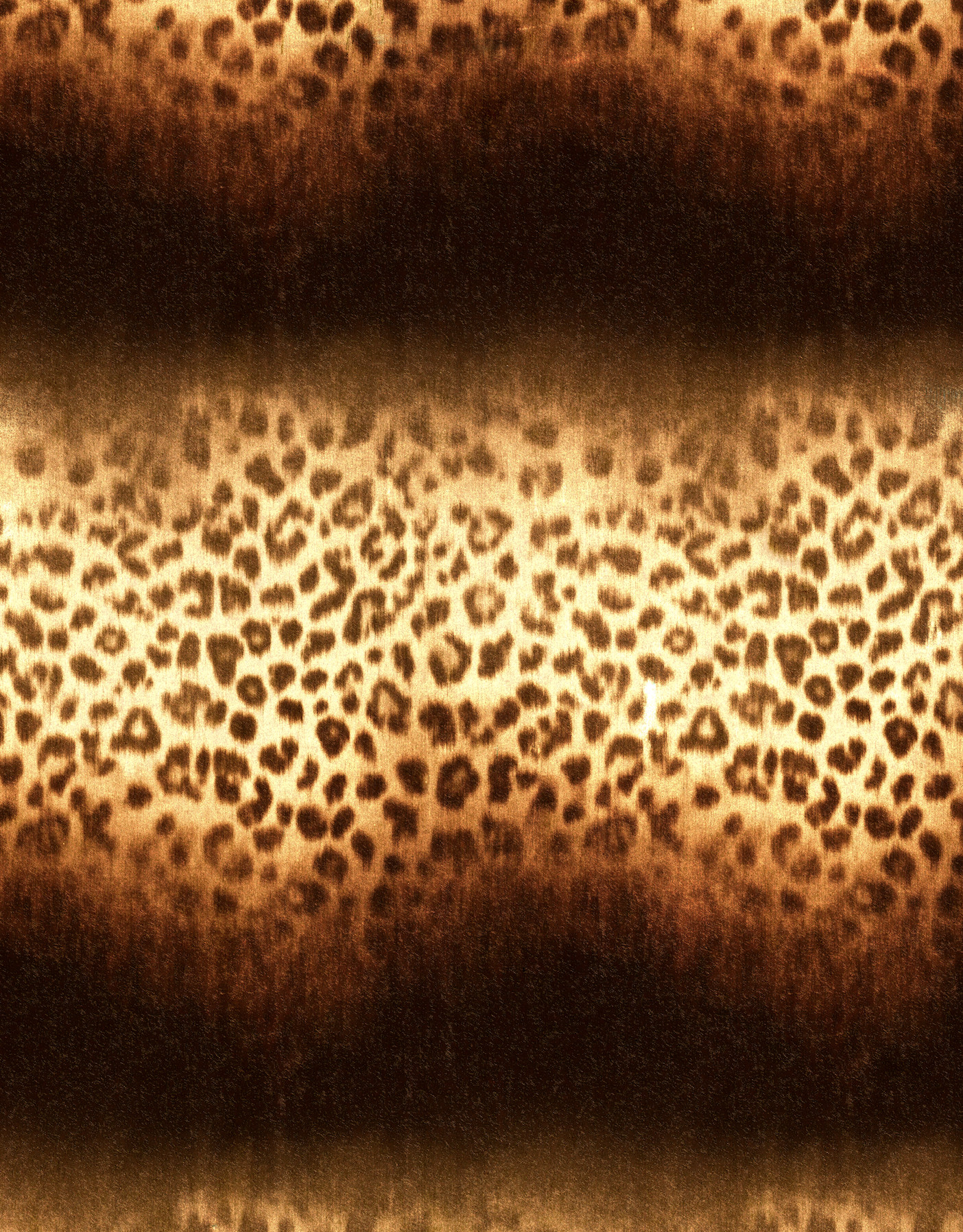 Screenshot 2026-02-06 at 12.02.07.png