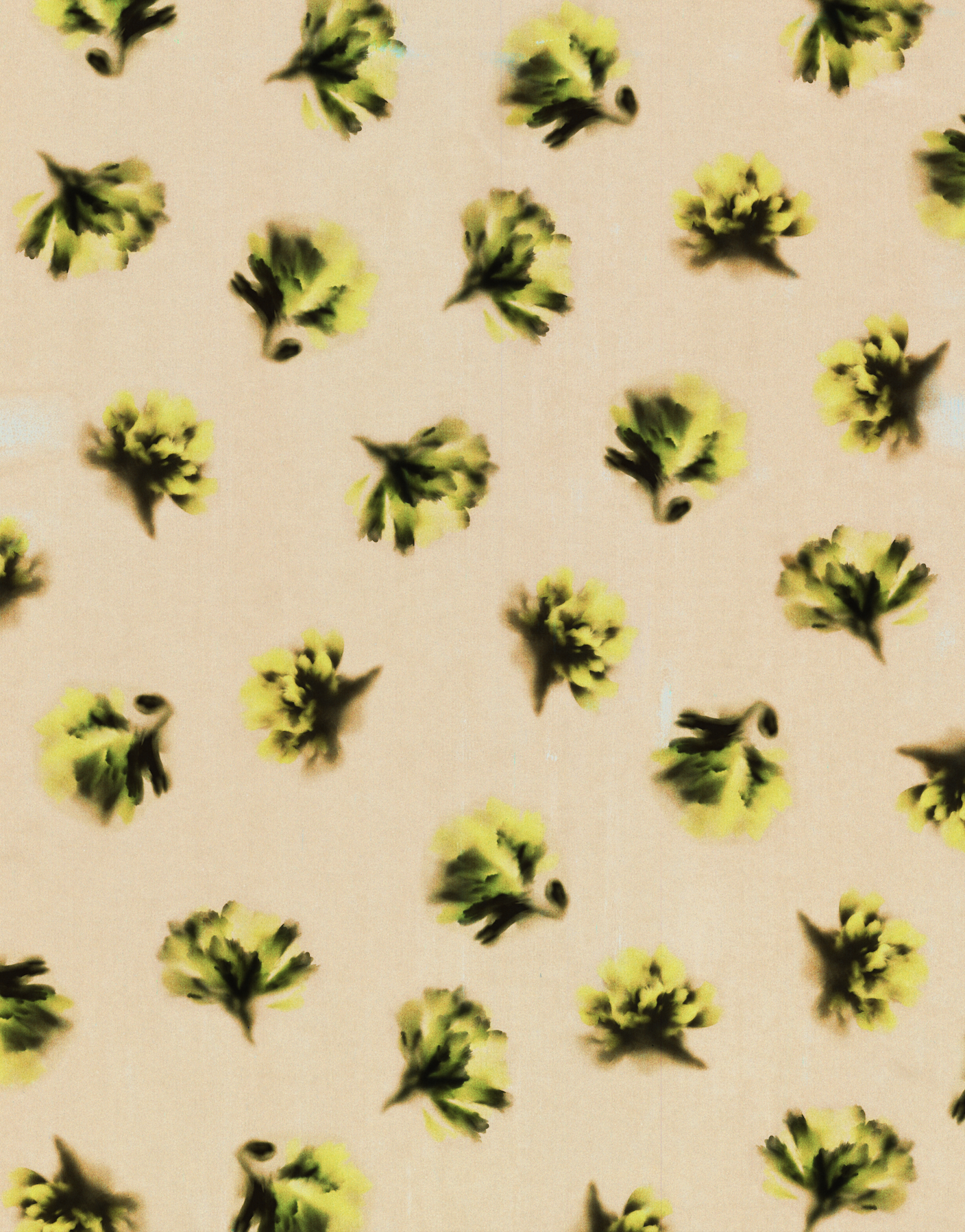 Screenshot 2026-02-06 at 11.55.27.png