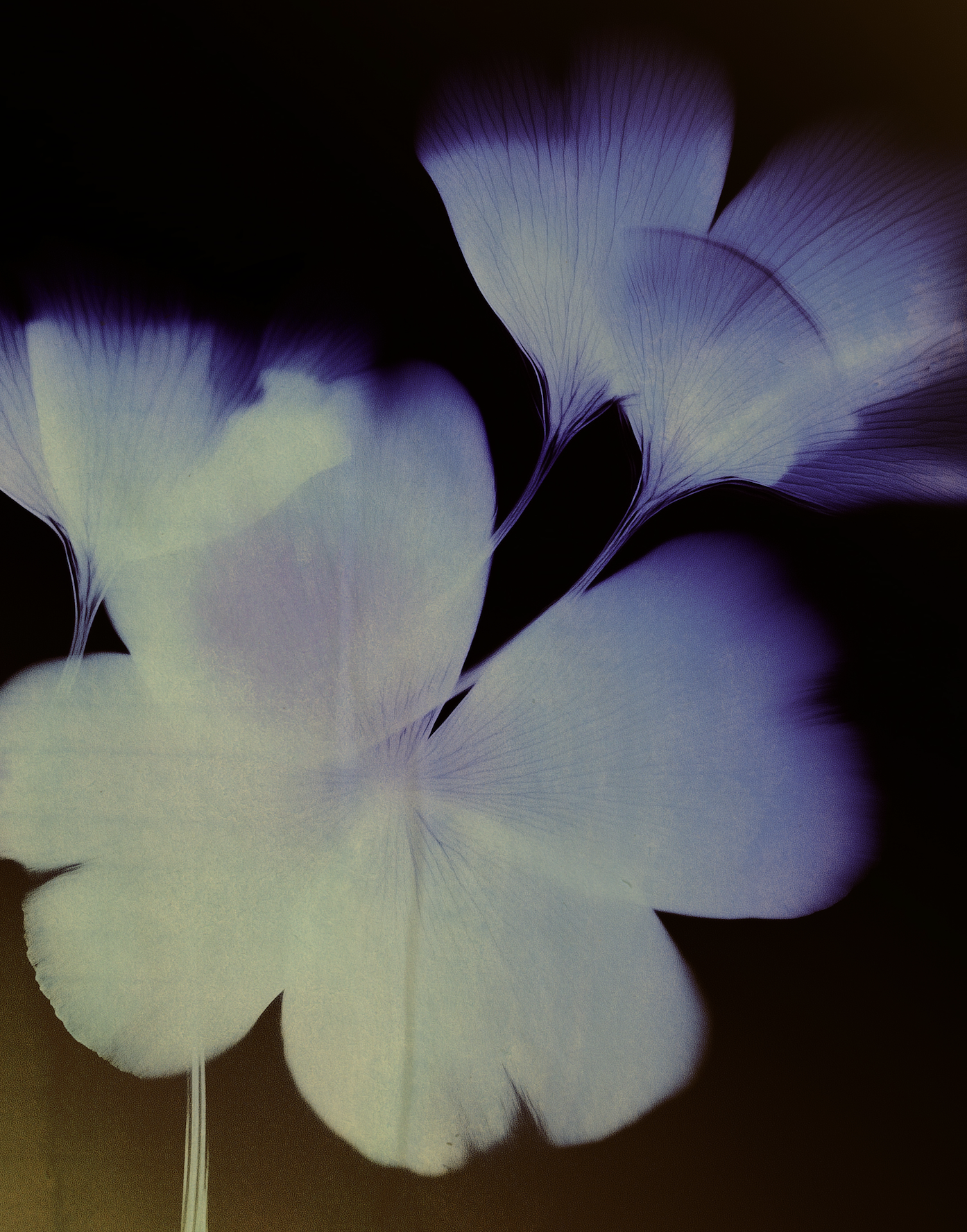 Screenshot 2026-02-06 at 11.56.39.png