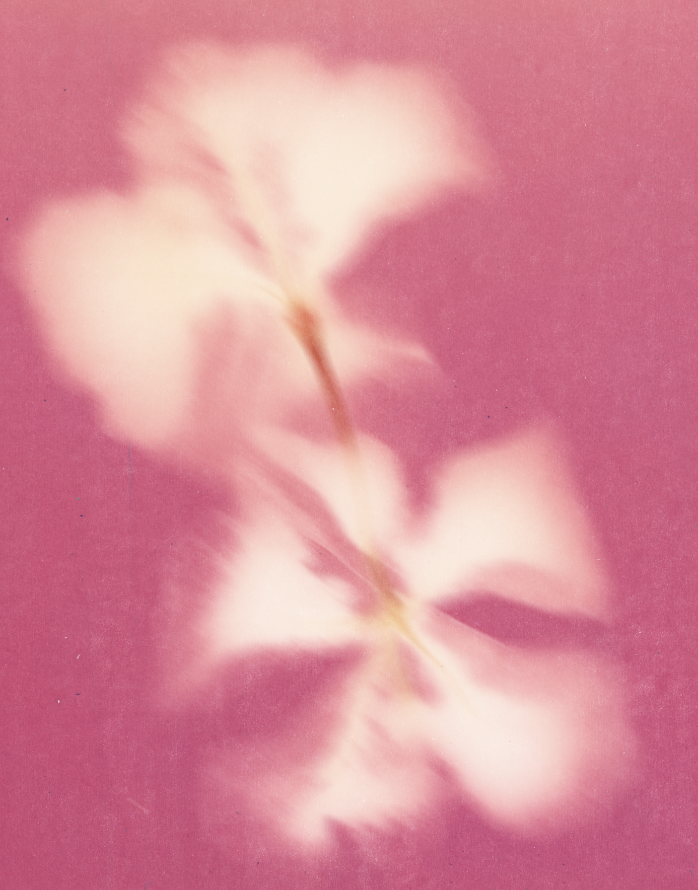 Screenshot 2026-02-06 at 11.58.06.png