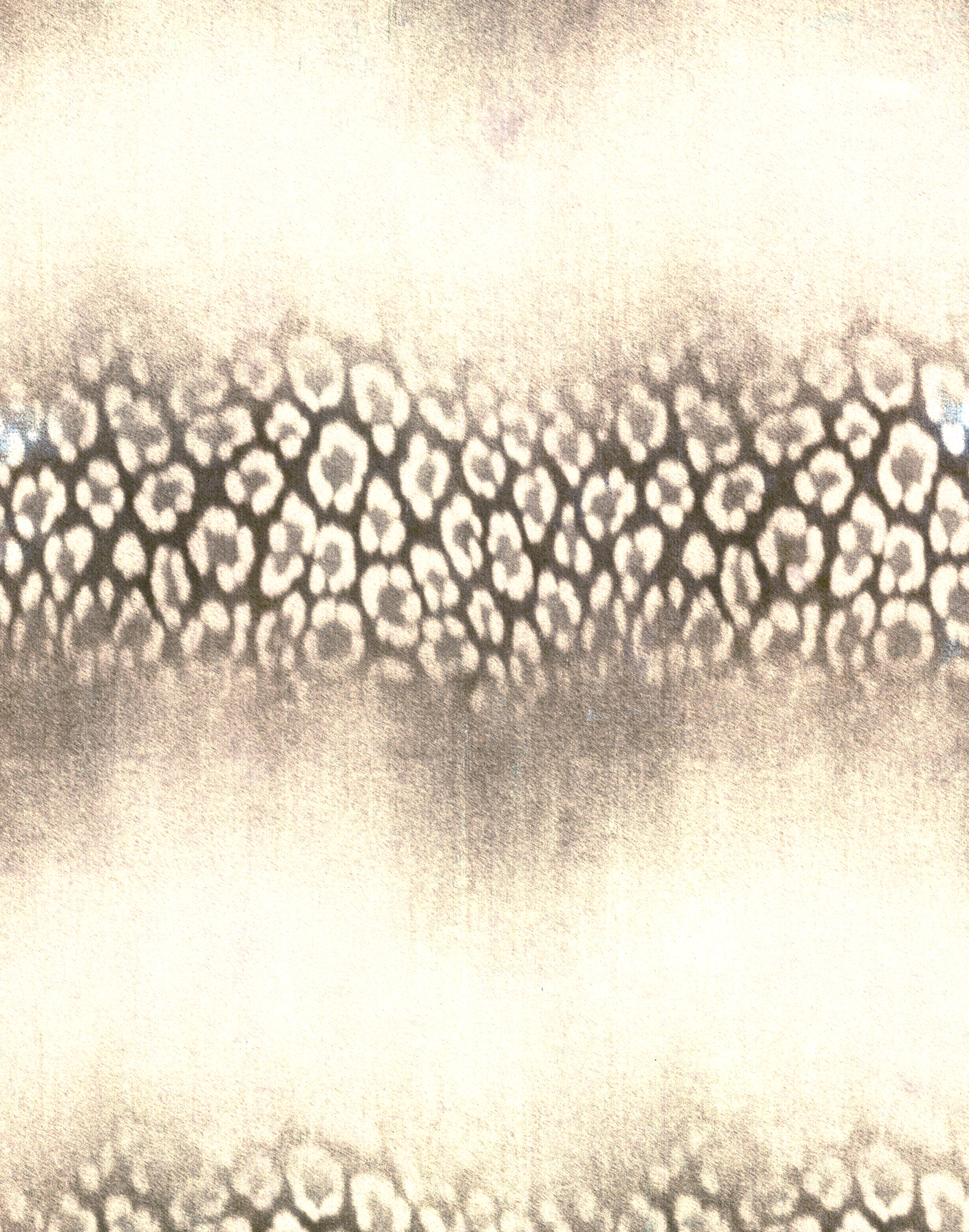 Screenshot 2026-02-06 at 12.01.45.png