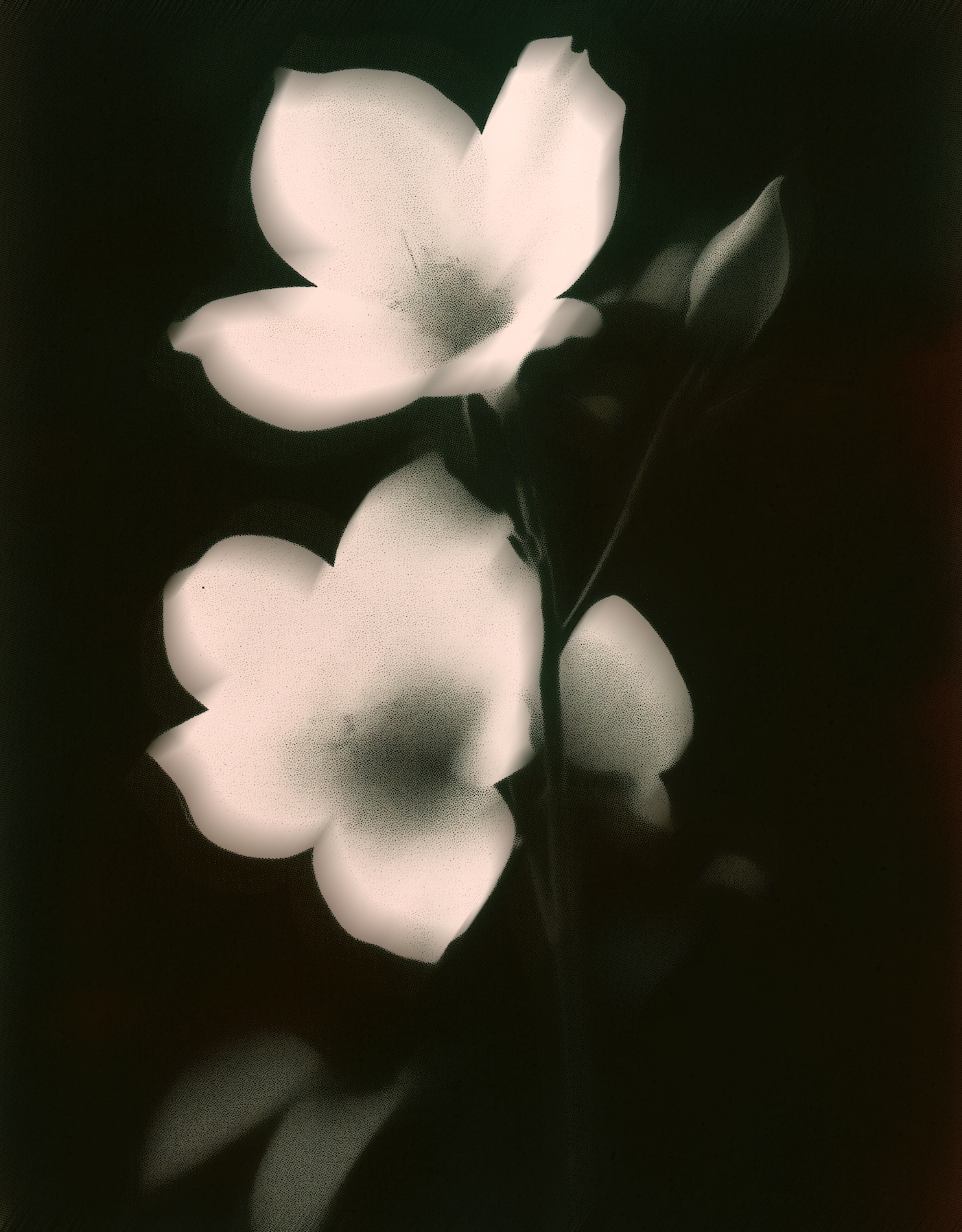 Screenshot 2026-02-06 at 11.58.46.png